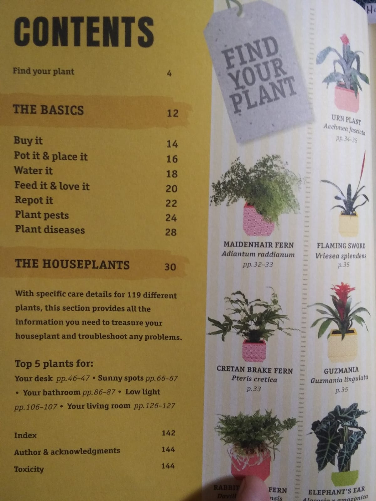 How Not to Kill Your Houseplant New Edition: Survival Tips for the Horticulturally Challenged customer photo 1