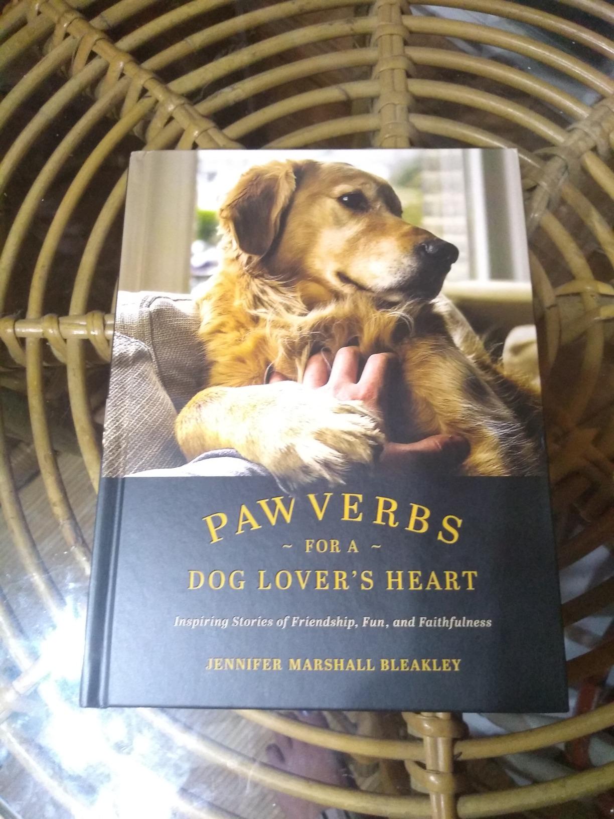Pawverbs for a Dog Lover's Heart: Inspiring Stories of Friendship, Fun, and Faithfulness customer photo 1