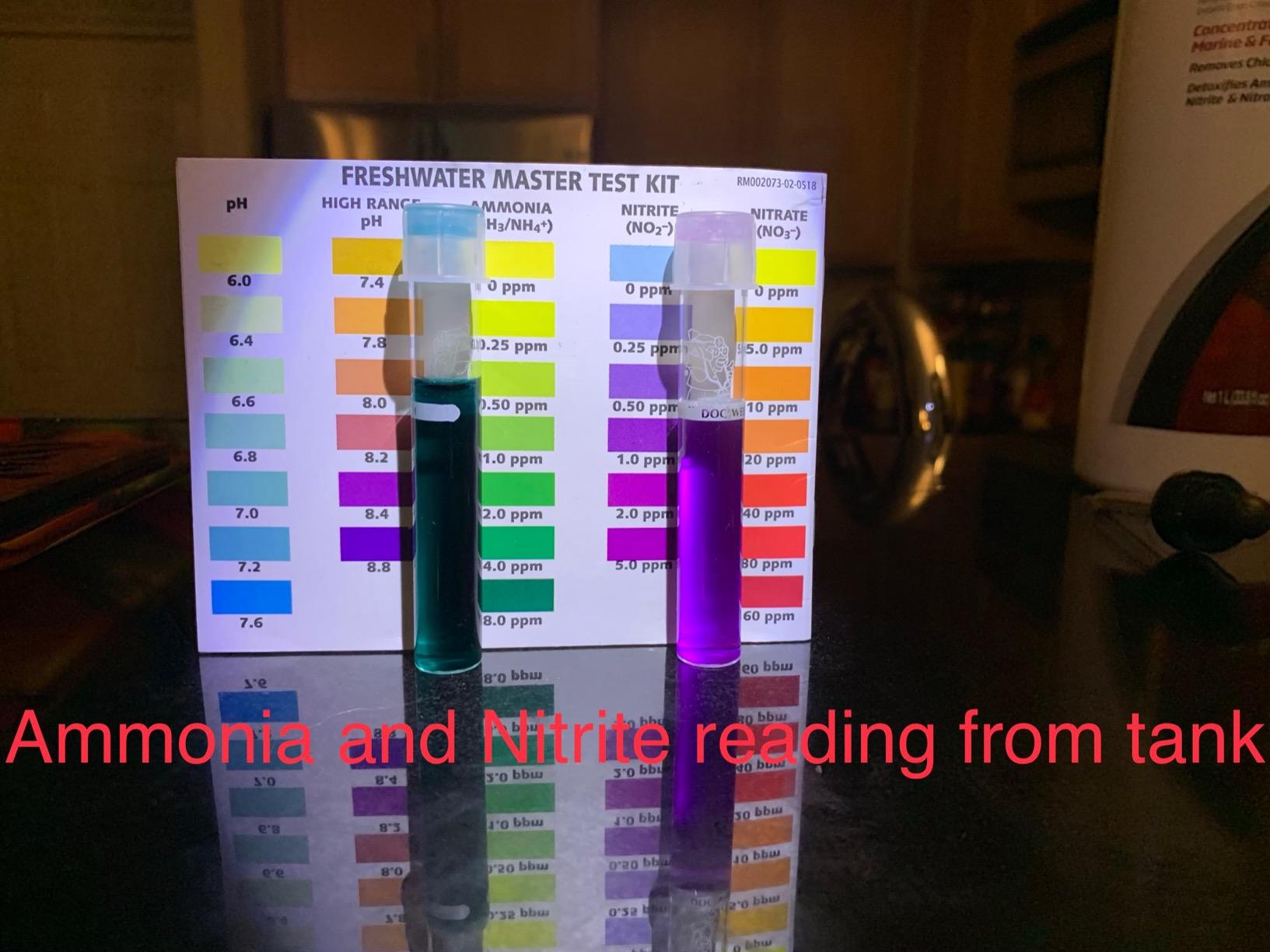 Seachem Prime Fresh and Saltwater Conditioner - Chemical Remover and Detoxifier 500 ml customer photo 2