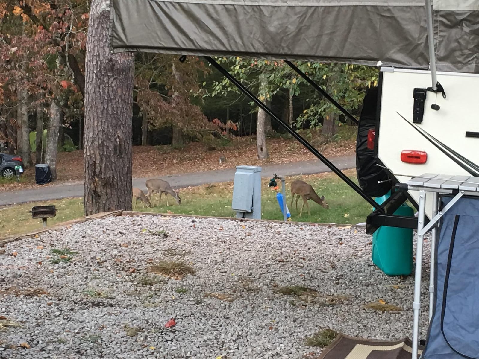 Camco Tastepure RV Water Filter - GAC & KDF Filtration - Made in the USA | Advanced RV Inline Water Filter with Flexible Hose Protector - Camping Essentials for Fresh Drinking Water (40043) customer photo 1