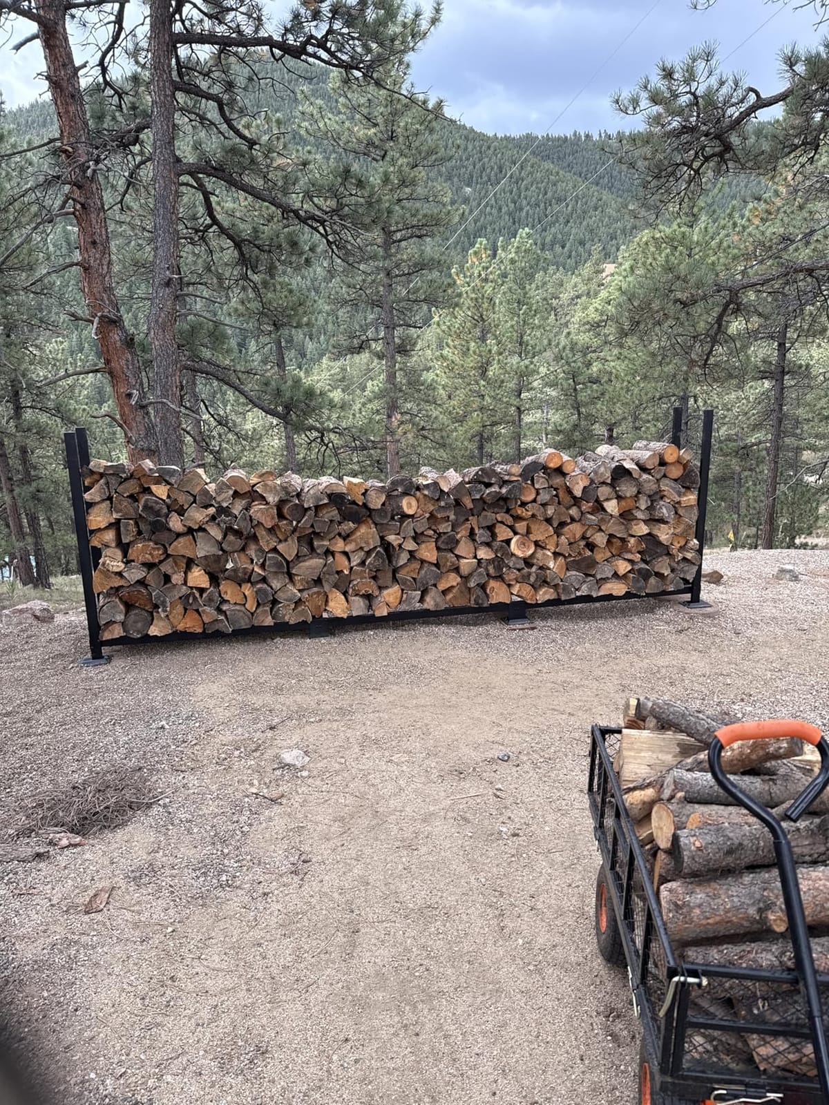 Woodhaven 8-Foot Firewood Rack - American Brand - 1/2 Cord Raised Lumber Storage Rack - Heavy-Duty Steel, Lifetime Structural Warranty (With Cover) customer photo 1
