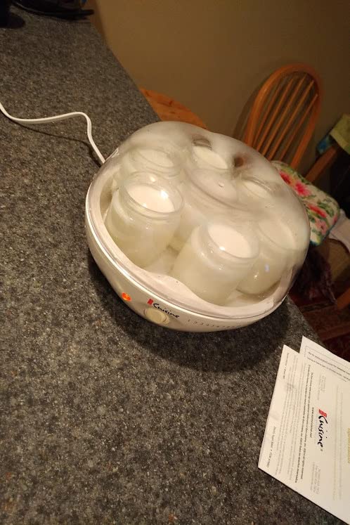 Euro Cuisine YM80 Electric Yogurt Maker Machine- Promote Gut Health with Probiotic Rich Homemade Yogurt -Home Yogurt Incubator with Glass Jars, White customer photo 2