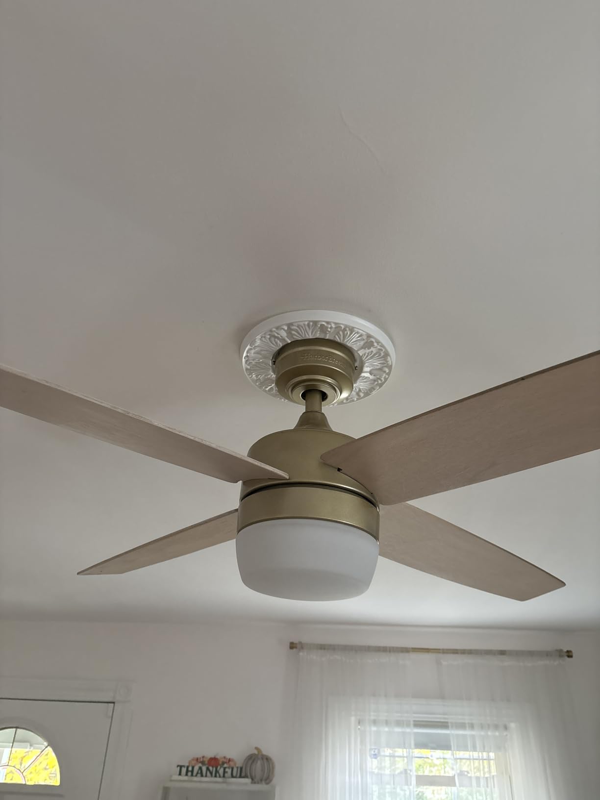Westinghouse 7702700 Victorian Ceiling Medallion 10-Inch Dia, White Finish, 1-Pack customer photo 2