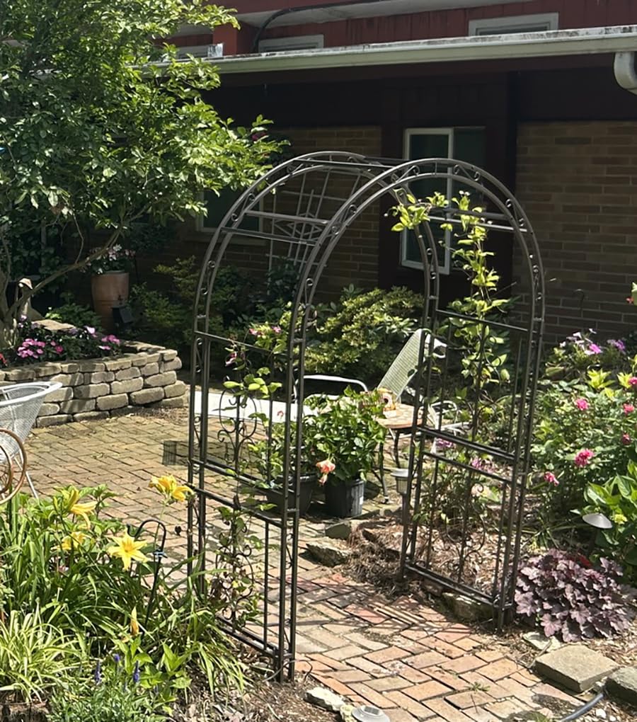 Plow & Hearth Arch Metal Outdoor Garden Arbor | Montebello | 7 Feet Tall | Steel Iron Trellis Lattice for Climbing Plants & Heavy Vines | Wedding Outdoor Patio Décor customer photo 1