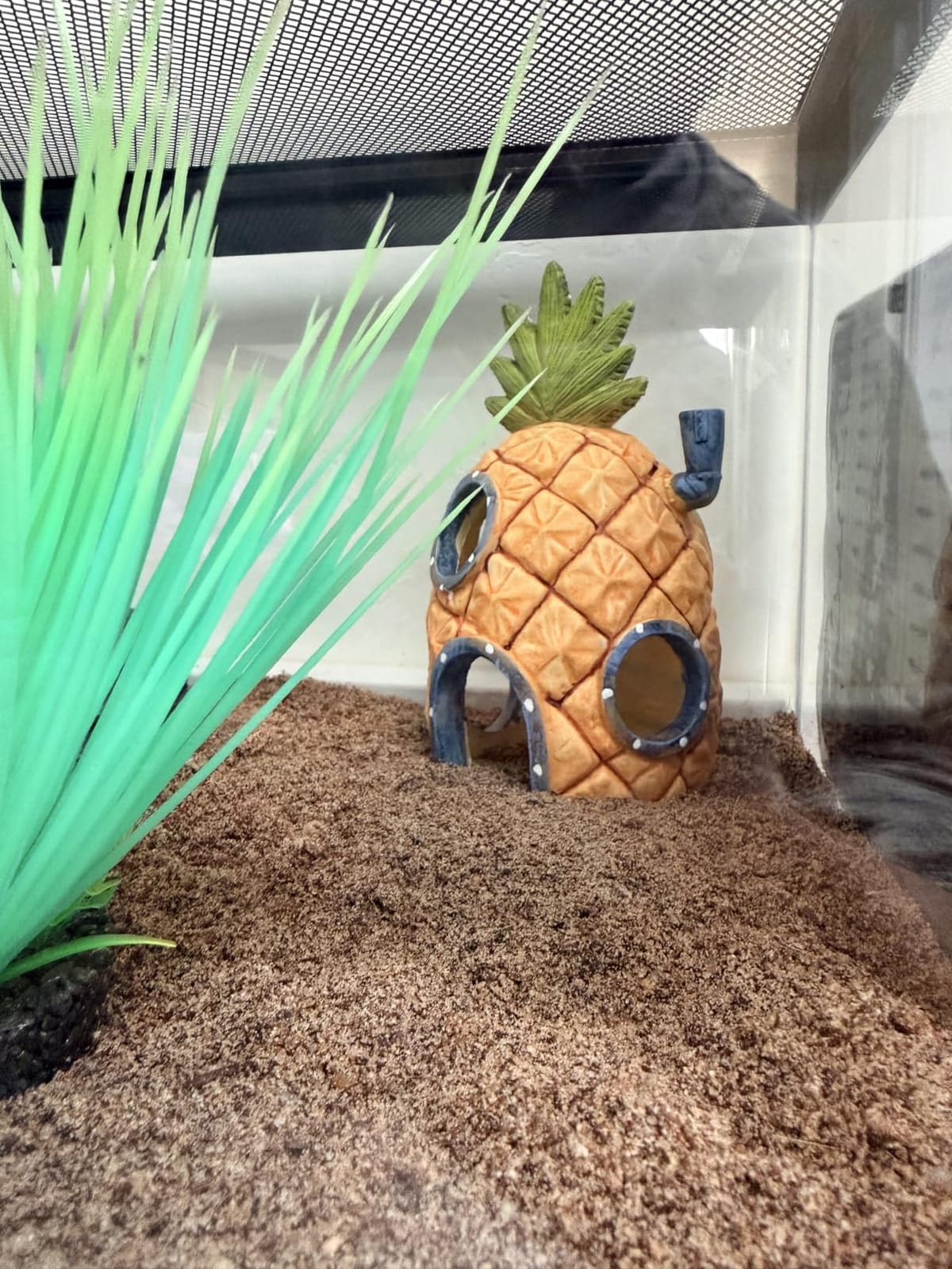 Penn-Plax Spongebob Squarepants Officially Licensed Aquarium Ornament - The Krusty Krab - Medium customer photo 1