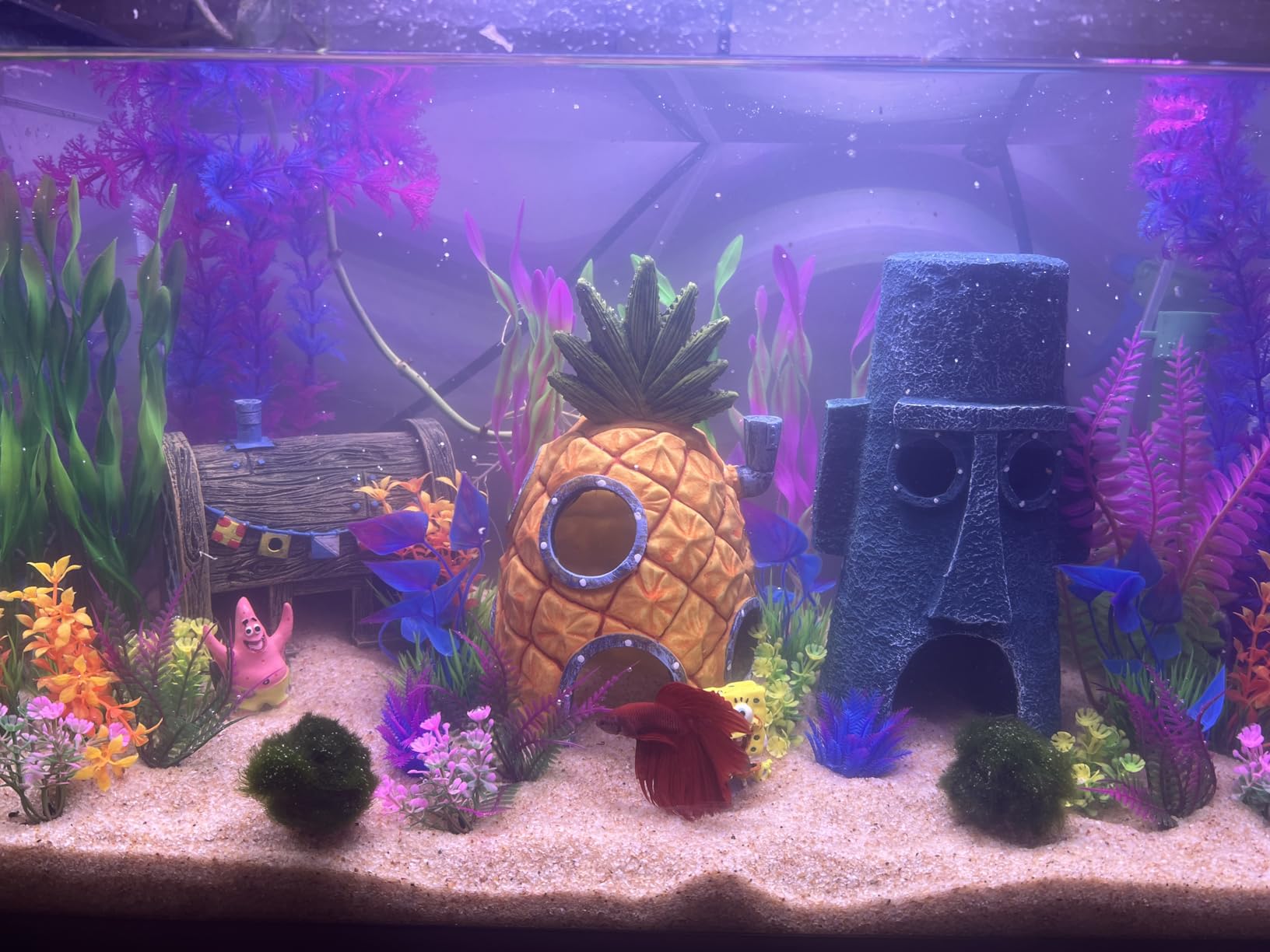 Penn-Plax Spongebob Squarepants Officially Licensed Aquarium Ornament - The Krusty Krab - Medium customer photo 2
