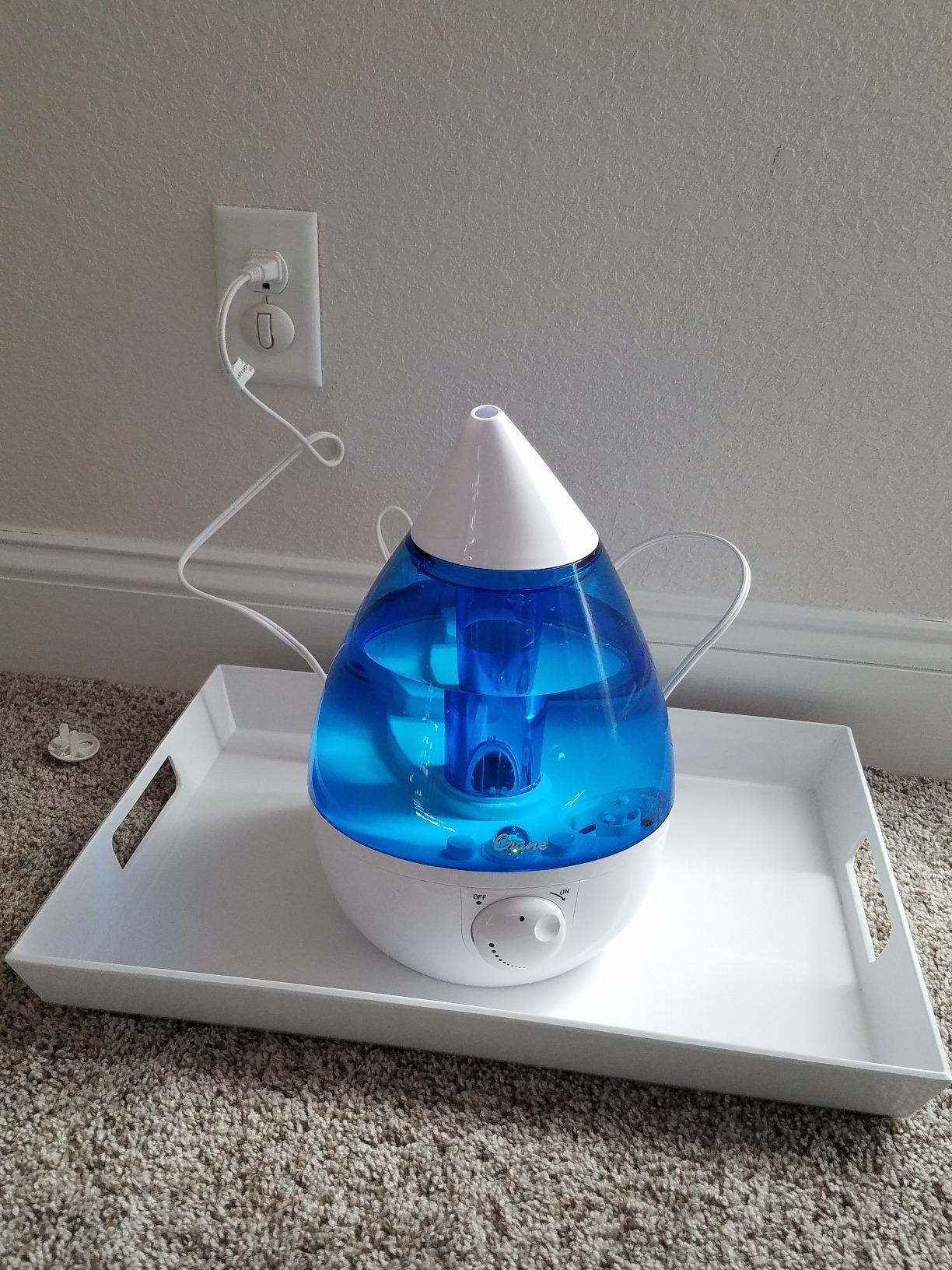 Crane Ultrasonic Cool Mist Humidifier for Bedroom, Baby Nursery, Kids Room, Plants, or Office, Large 1 Gallon Tank, Filter Optional, White customer photo 1