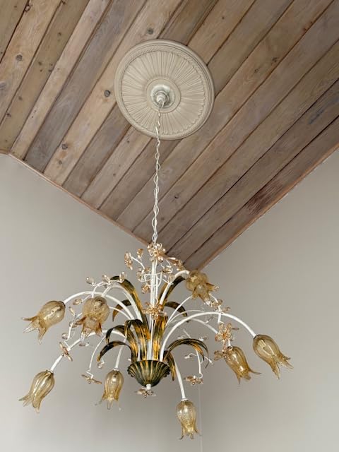 Ekena Millwork CM20BE1 20 1/8-Inch OD x 3 7/8-Inch ID x 1 7/8-Inch Berkshire Ceiling Medallion customer photo 2