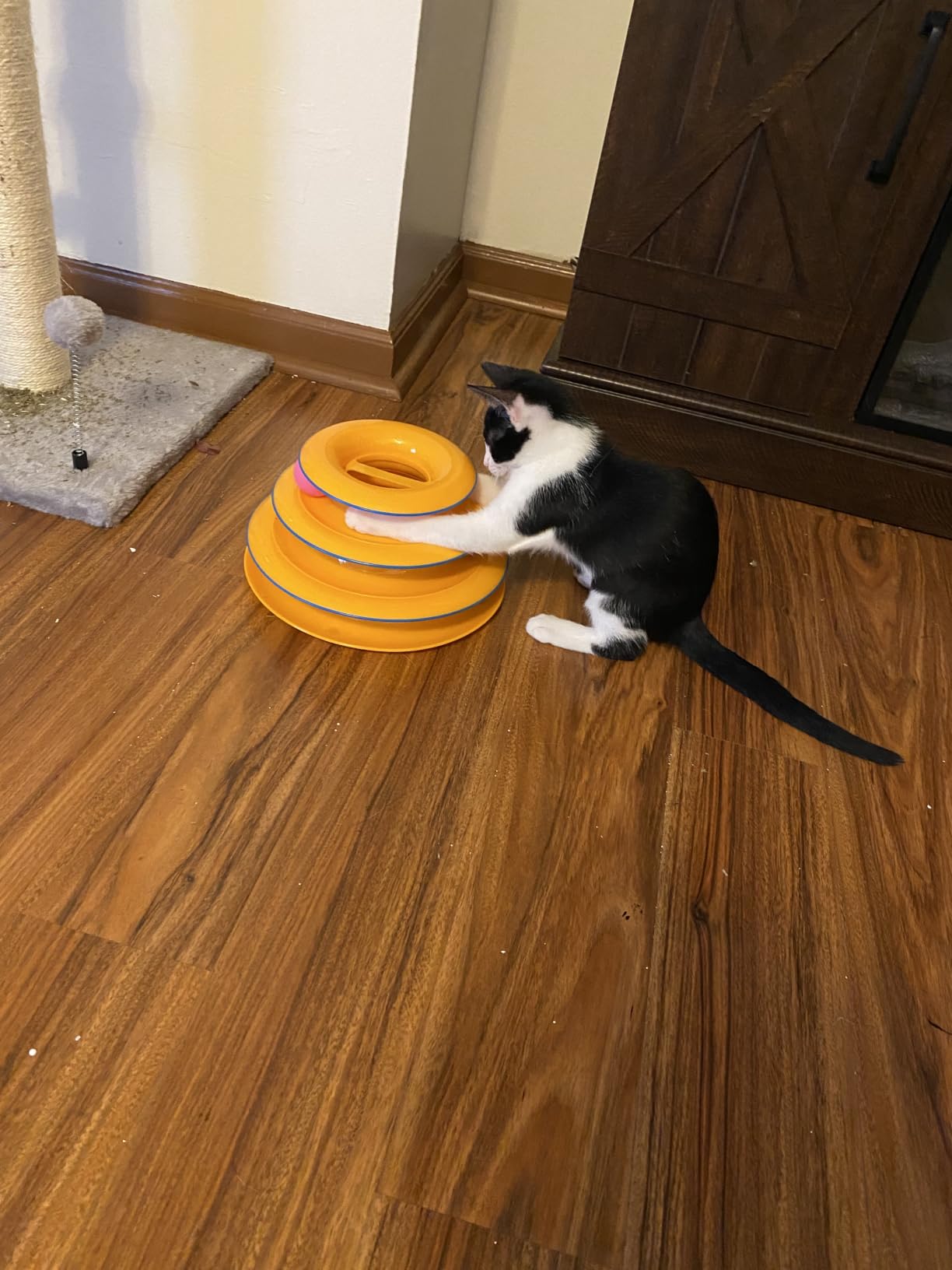 Catstages Tower of Tracks Interactive Cat Toy, 6 Spinning Balls, 10