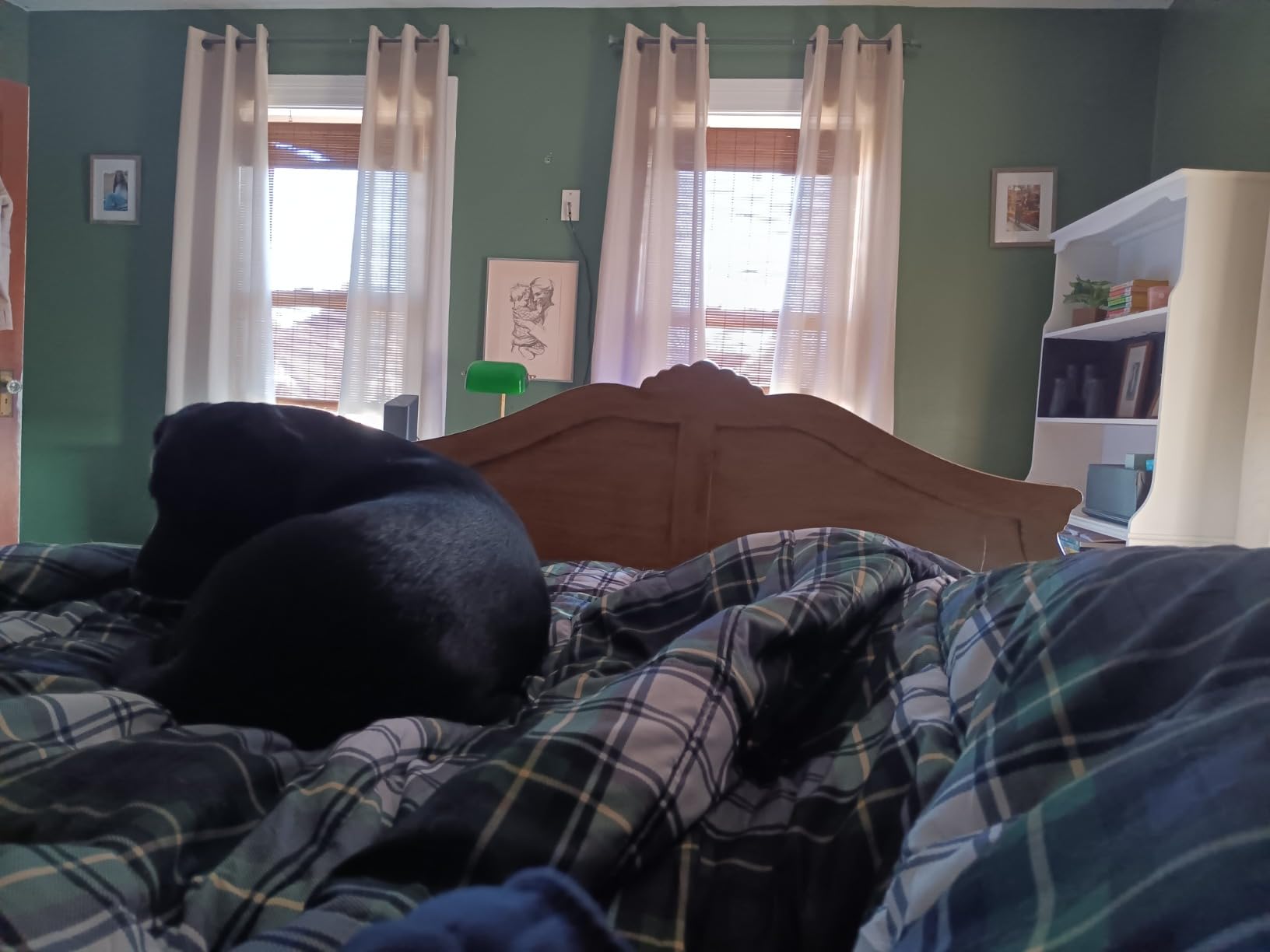 Madison Park Parkston Plaid Twin Comforter Set for College Dorm, 2P Navy customer photo 2