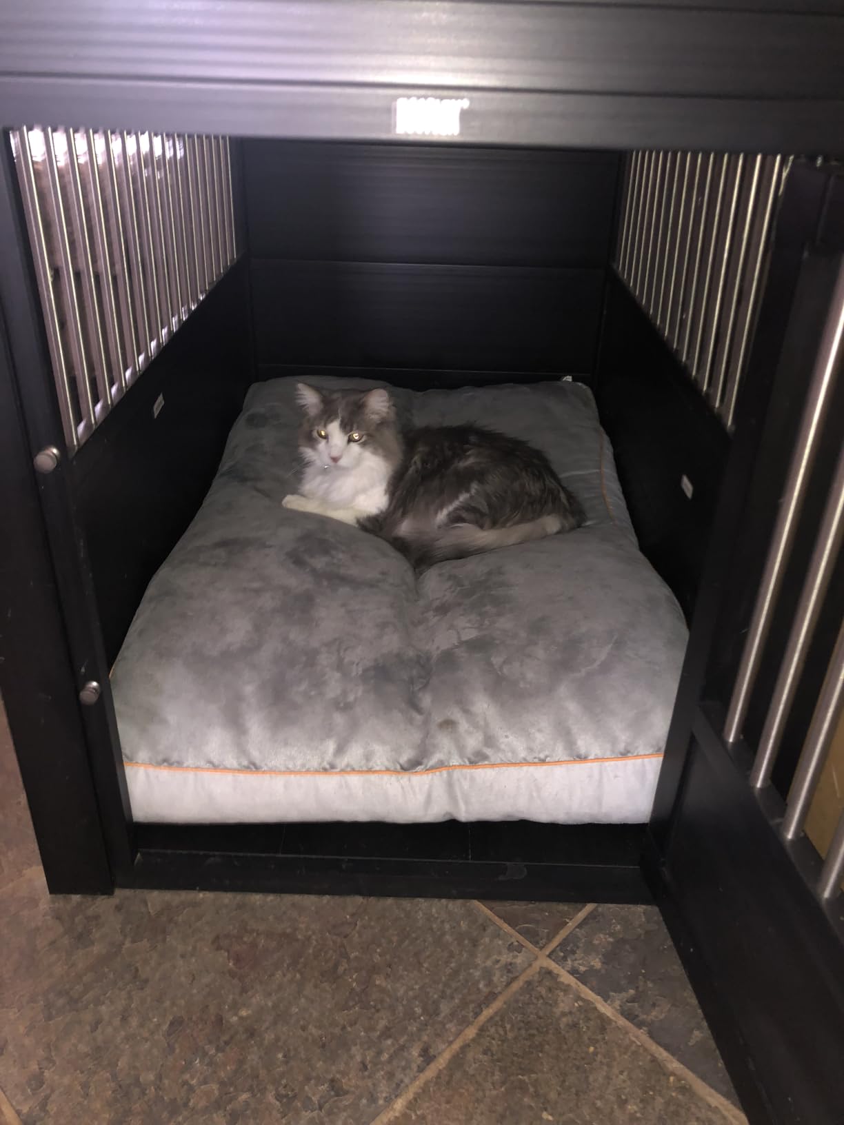 New Age Pet ECOFLEX InnPlace Dog Crate & End Table, Furniture-Style Indoor Kennel for Crate-Trained Dogs, Stainless Steel Spindles, 10-Year Warranty. 4 Colors, 4 Sizes customer photo 2