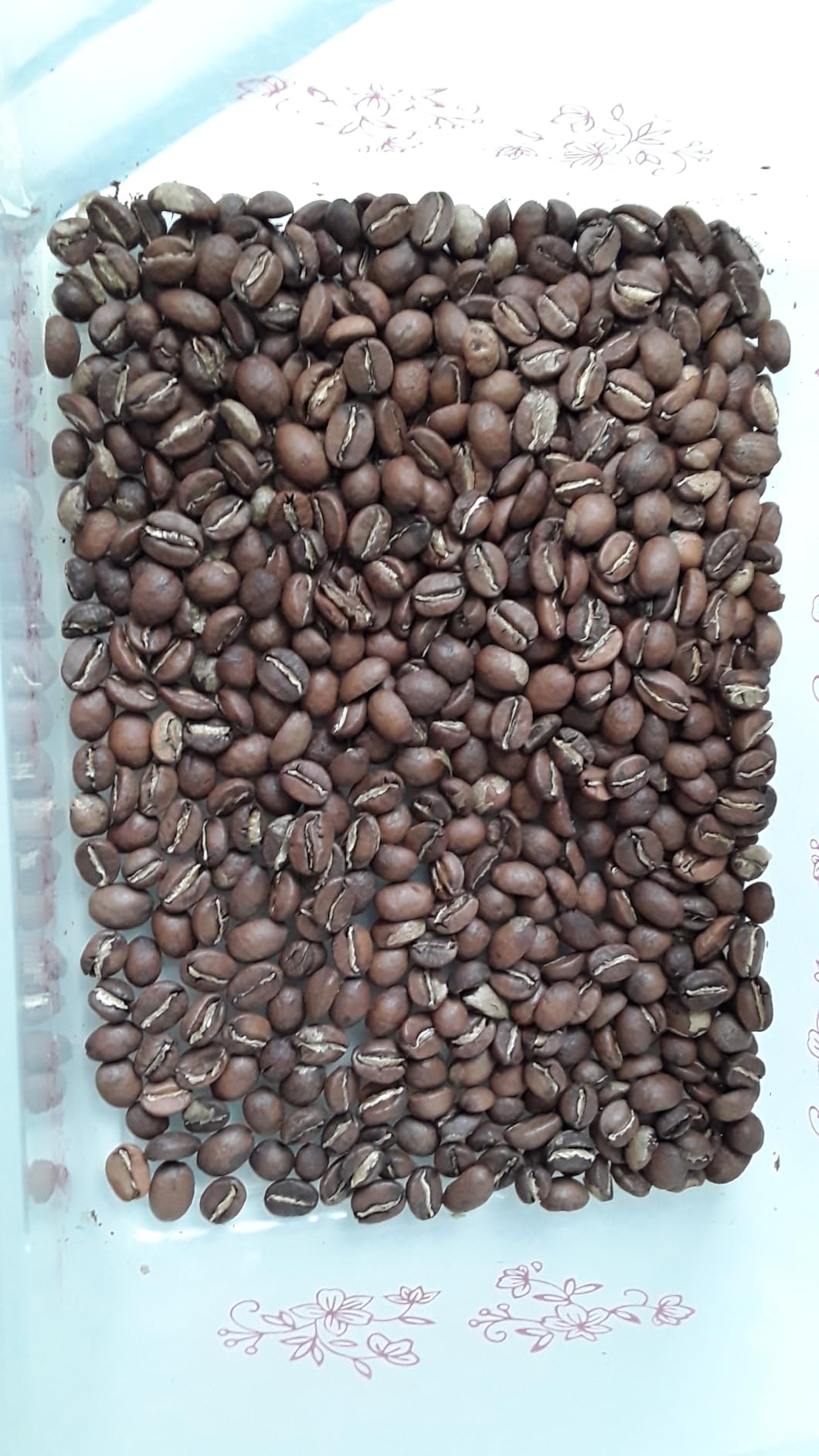 Primos Unroasted Green Arabica Coffee Beans - 3 Lb - Nicaraguan Caturra | Specialty grade farm-direct green coffee shade grown at high altitude customer photo 2