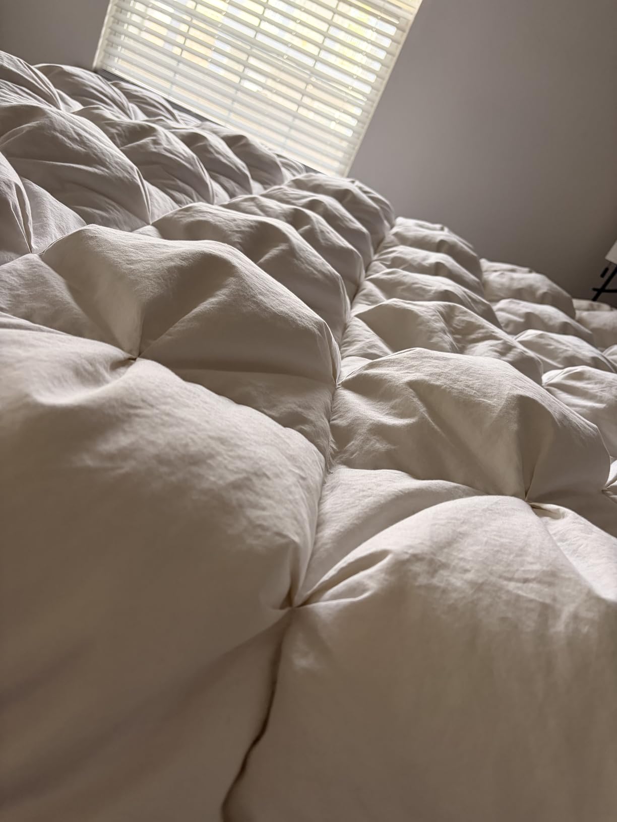 puredown Goose Down Comforter King Size, 800 Fill Power, 100% Cotton Winter Oversized Down Duvet Insert 700 Thread Count, Heavyweight Cloud Fluffy Pinch Pleat Extra Warmth customer photo 1