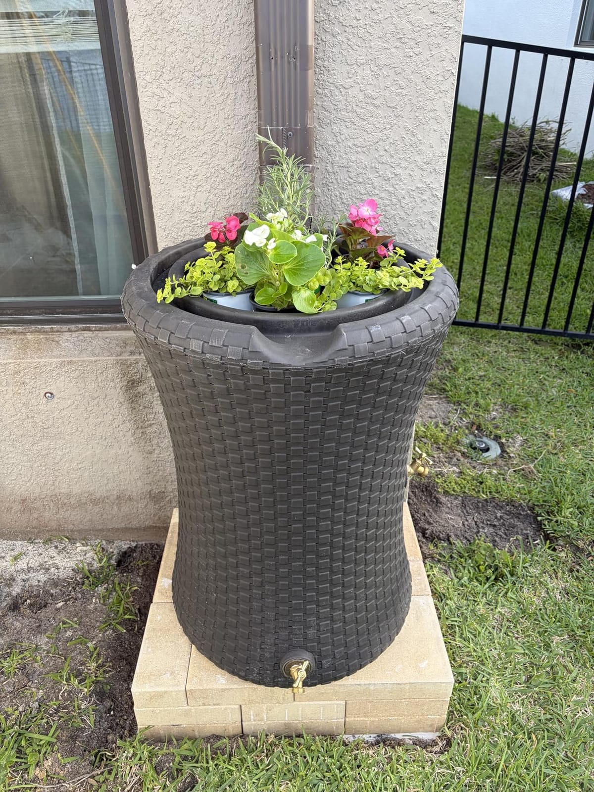 Good Ideas Impressions Nantucket Rain Water Collection Barrel, 50 Gallon | Dark Brown Rainwater Catcher, Outdoor Home Water Storage Collector with Garden Planter and Metal Spigots customer photo 2