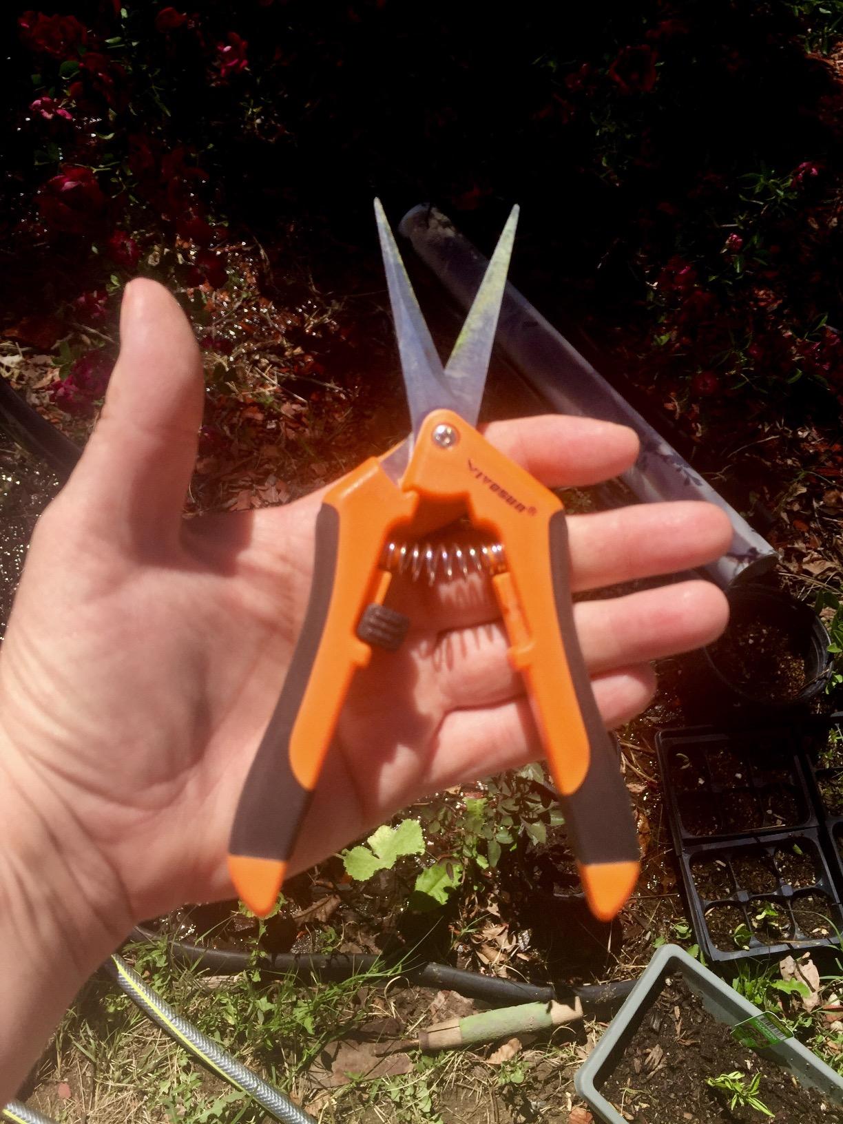 VIVOSUN 6.5 Inch Gardening Scissors Hand Pruner Pruning Shear with Straight Stainless Steel Blades Orange 1-Pack | Straight Precision Stainless Steel Blades, Comfort Ergonomic Grips, Ideal Snip for Deadheading, Trimming & Shaping Plants customer photo 2