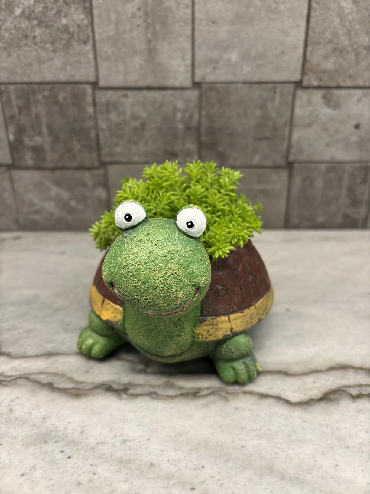 Turtle Succulent Planter Pots - Handmade Resin Bonsai Pot with Drainage Hole, Mini Plant Pot for Succulents, Turtle Decor & Gifts for Women, Small Succulent Pots for Office Desk & Home customer photo 1