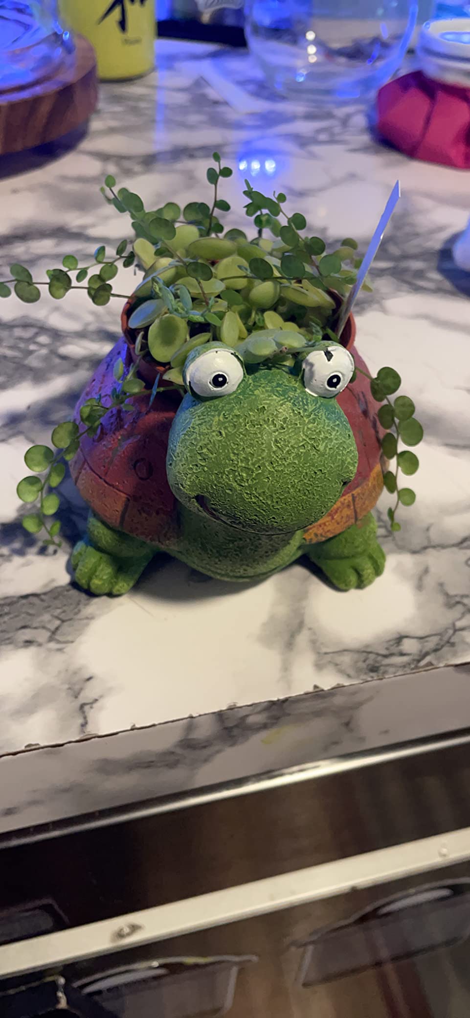 Turtle Succulent Planter Pots - Handmade Resin Bonsai Pot with Drainage Hole, Mini Plant Pot for Succulents, Turtle Decor & Gifts for Women, Small Succulent Pots for Office Desk & Home customer photo 2