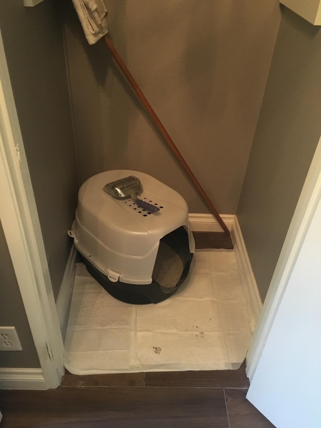 Nature's Miracle Hooded Flip Top Cat Litter Box with Charcoal Filter | Easy to Clean With Flip Top & Simple Latches, Charcoal Filter Absorbs Odor, Non-Stick Surface Prevents Litter Build-Up customer photo 1