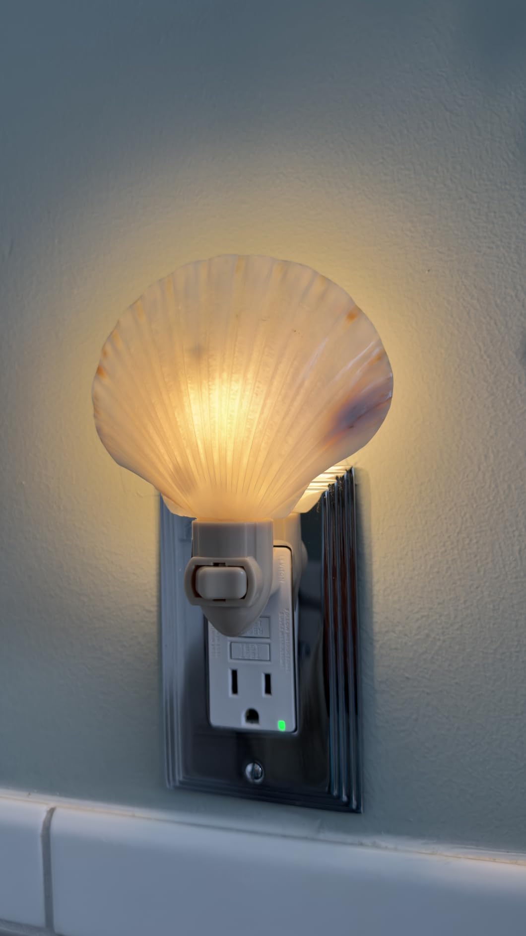 Tumbler Home Real Sea Shell Beach Night Light for Coastal Beach Home Decor | Seashell decor for beachy room or coastal bathroom customer photo 1