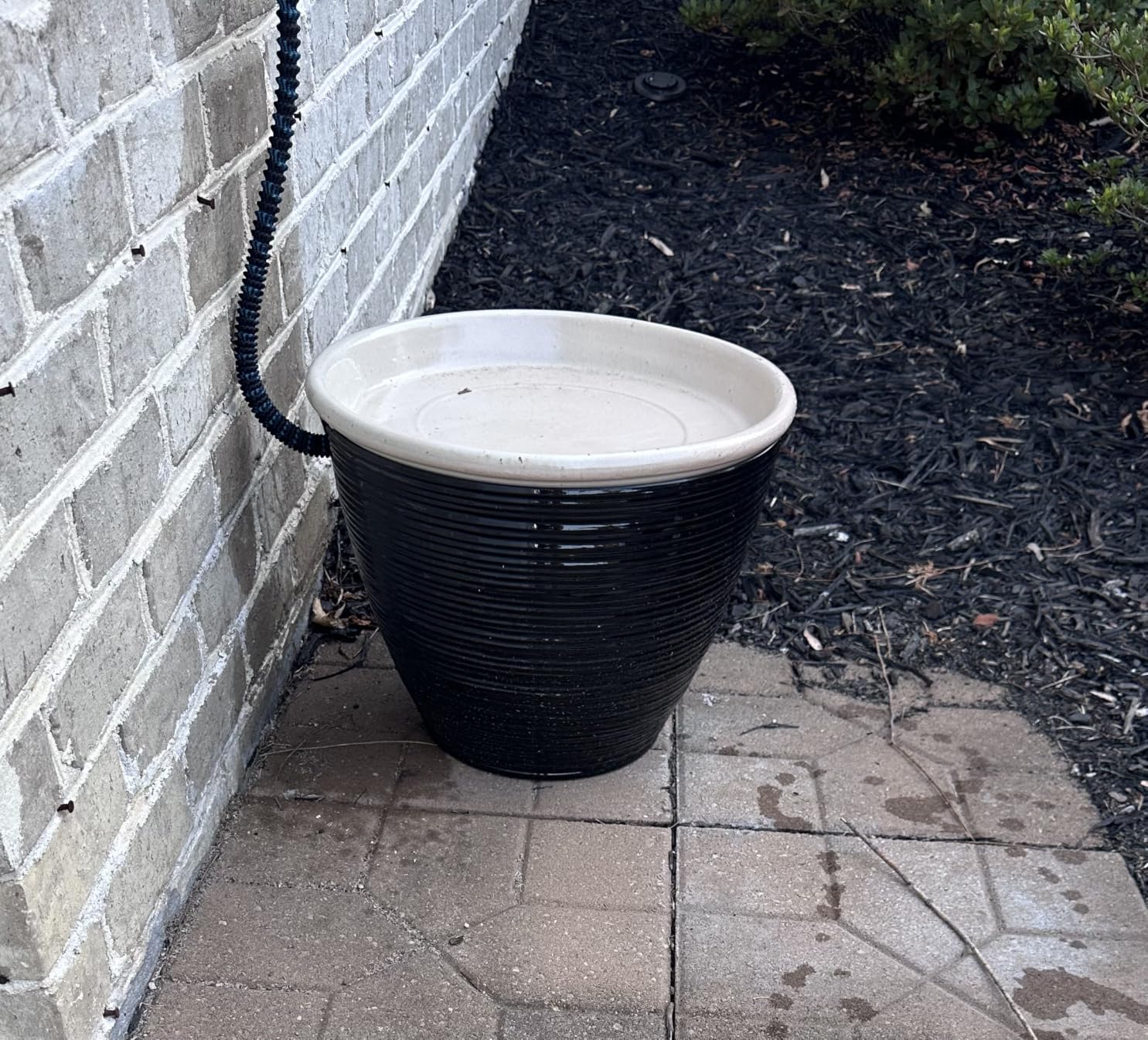 J&B XpandaHose 75ft Expandable Garden Hose, Lightweight, Brass Connectors | Ultra Strong 3750D fabric, 4-layer latex core, expands 3X, kink & leak-resistant, 10-pattern nozzle, storage bag customer photo 1