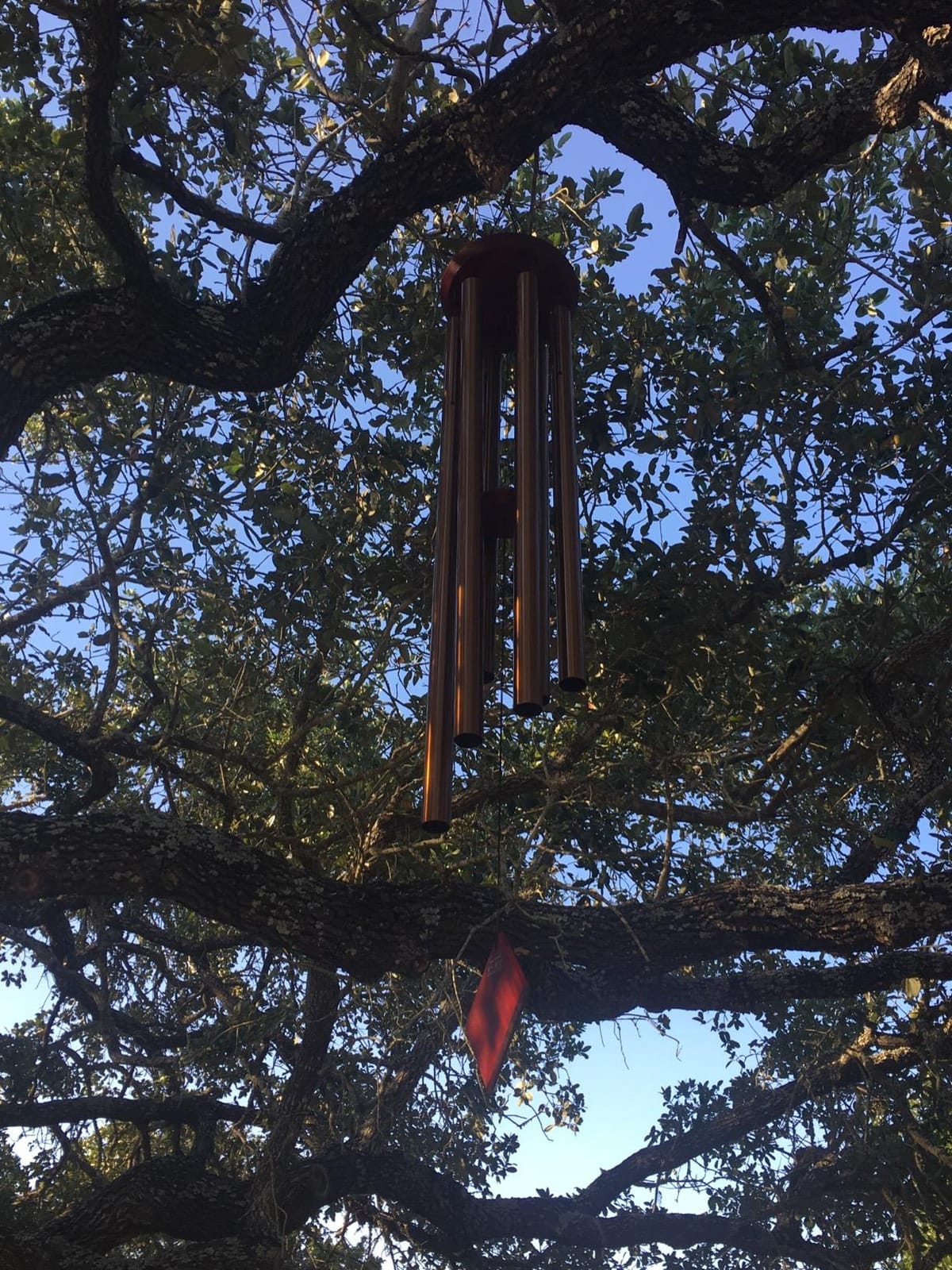 Woodstock Chimes Neptune Wind Chime for Outside 54