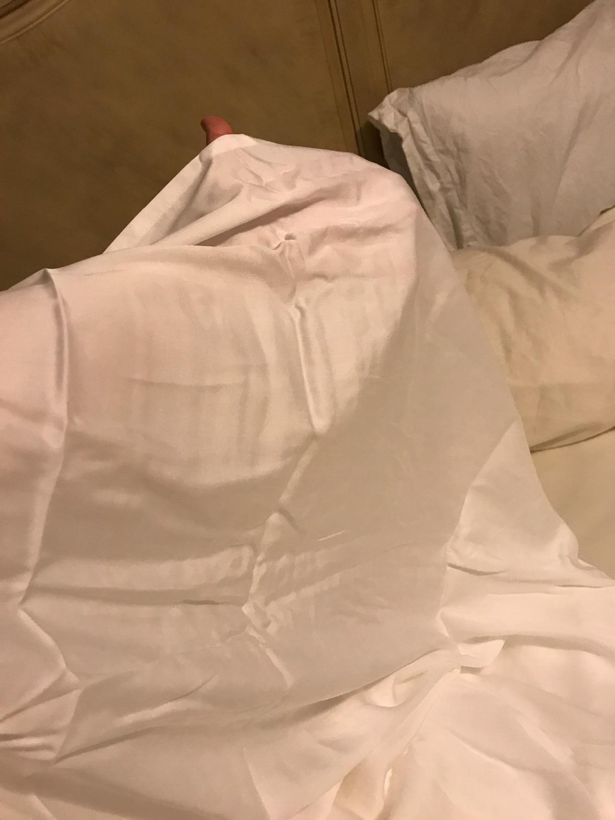 Hotel Sheets Direct 4 Piece Bed Sheet Set Queen Size, 100% Viscose Derived from Bamboo Sheets Set with 2 Pillowcases, Cooling & Breathable Luxury Bedding, Moisture-Wicking & Silky Soft Texture, White customer photo 2
