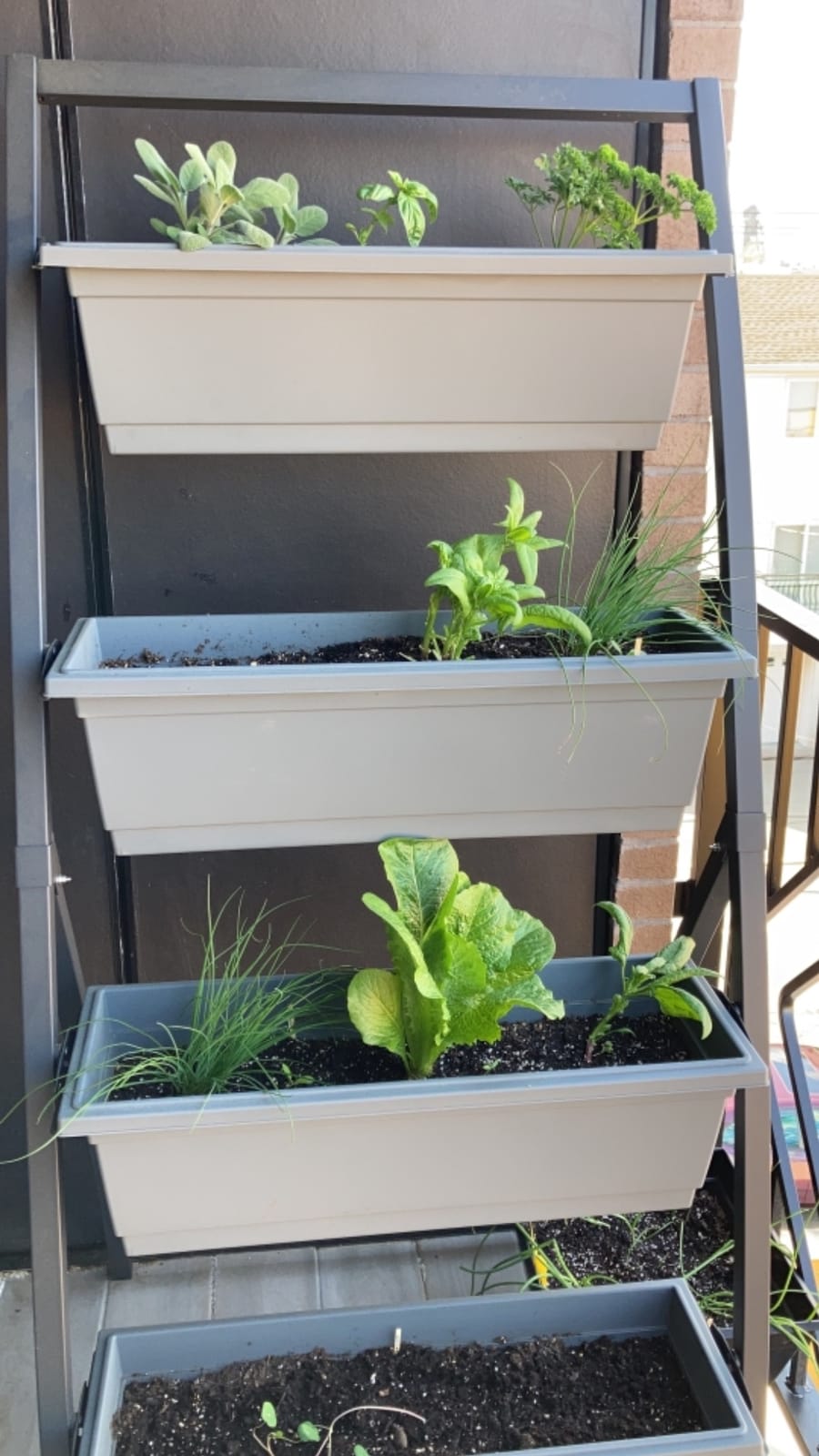 6-Ft Raised Garden Bed - Vertical Garden Freestanding Elevated Planter with 4 Container Boxes - Good for Patio or Balcony Indoor and Outdoor - Perfect to Grow Vegetables Herbs Flowers customer photo 1