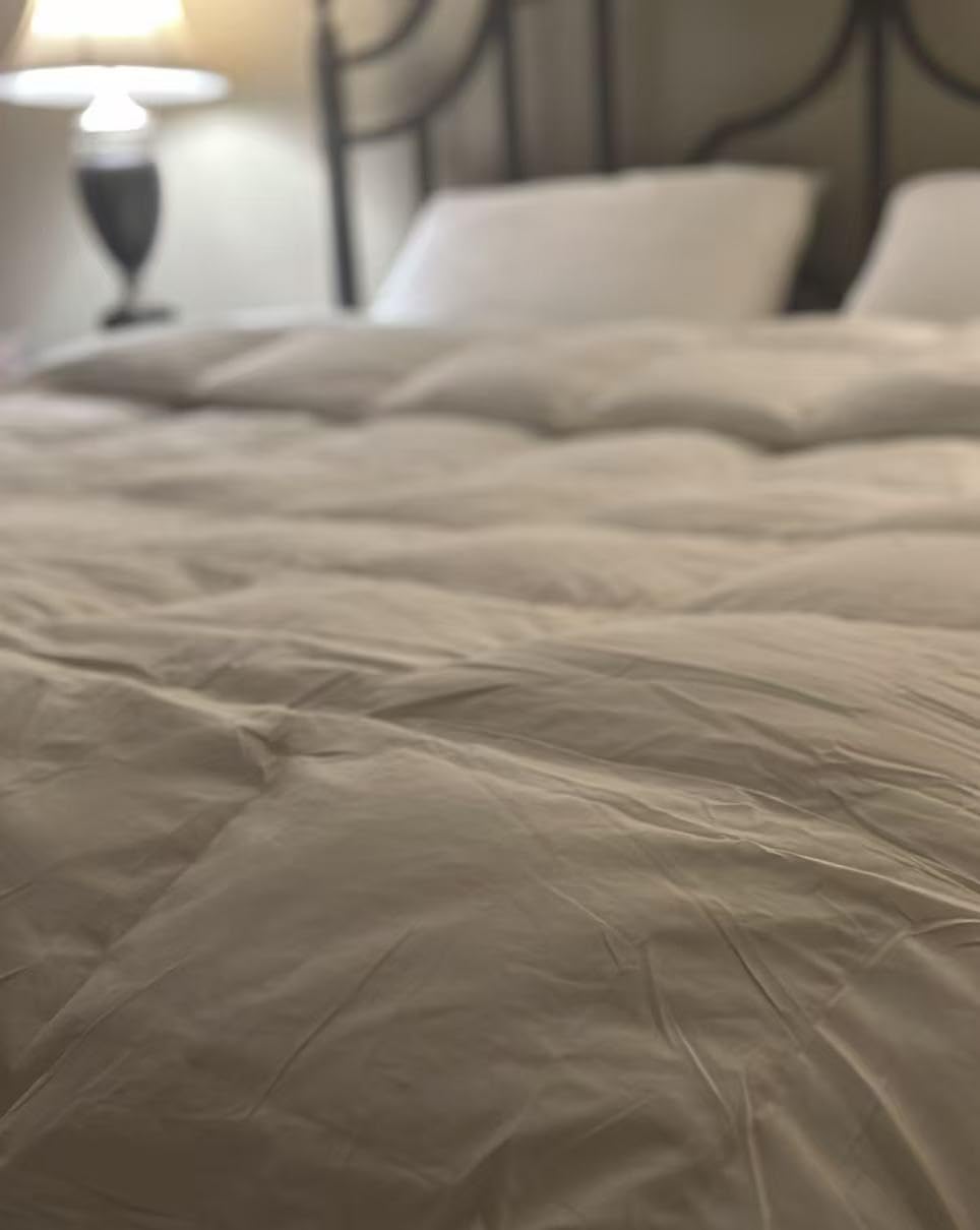Globon Winter White Goose Down Comforter Queen Size,Down Duvet Insert,800 Fill Power,420 Thread Count Ultra Soft Noiseless Shell with Corner Tabs,White customer photo 2