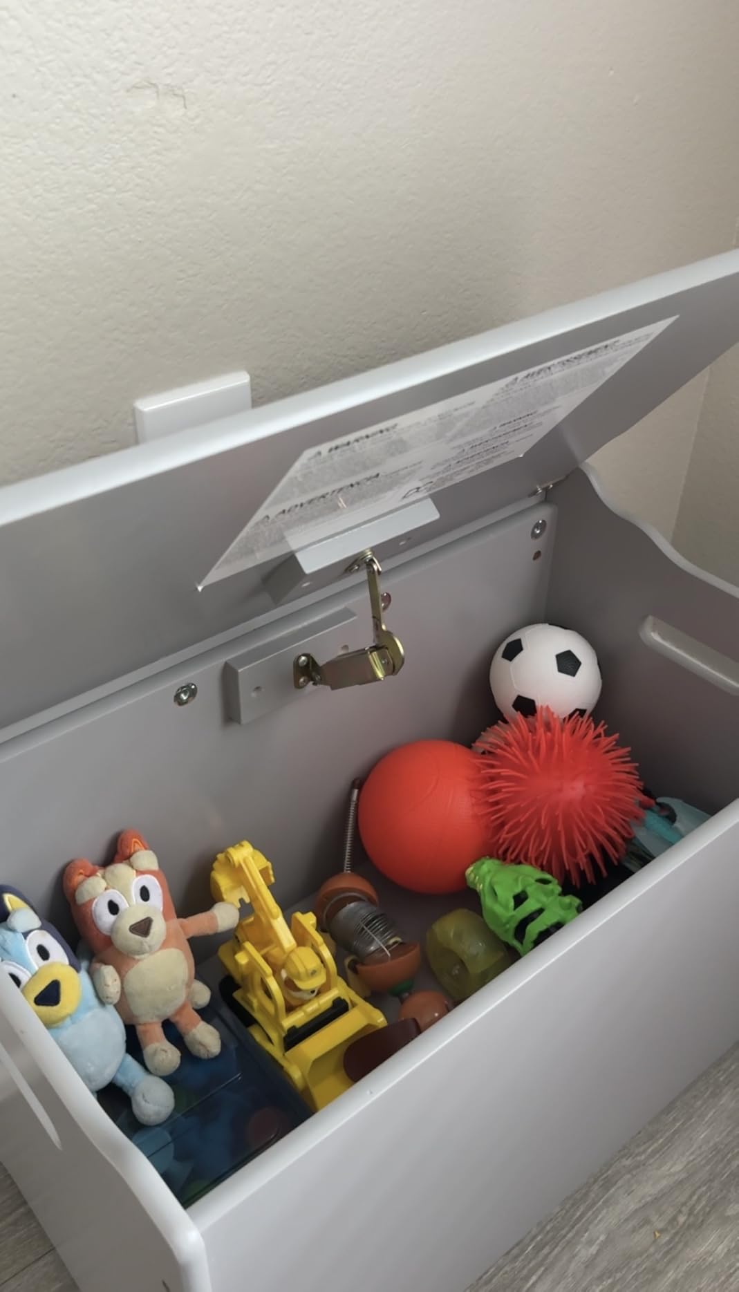 Delta Children MySize Deluxe Toy Box, Grey | Sturdy customer photo 1
