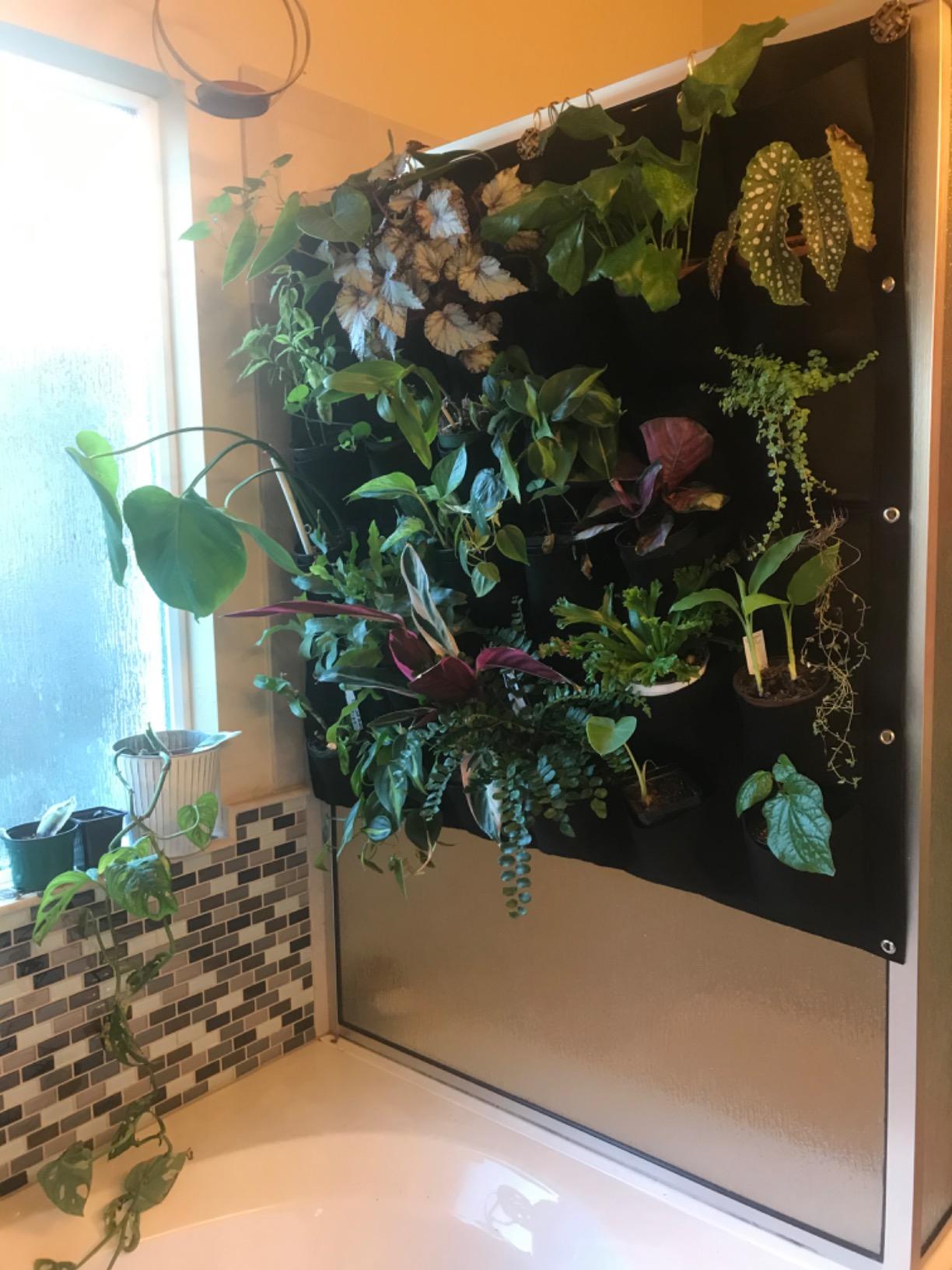 Ogrmar 36 Pockets Wall Planter Breathable Vertical Garden Planter Grow Bag | Plant Wall Hanging Pockets for herbs, flowers, vegetables&strawberries, Felt fabric, easy hanging for indoor and outdoor use customer photo 2