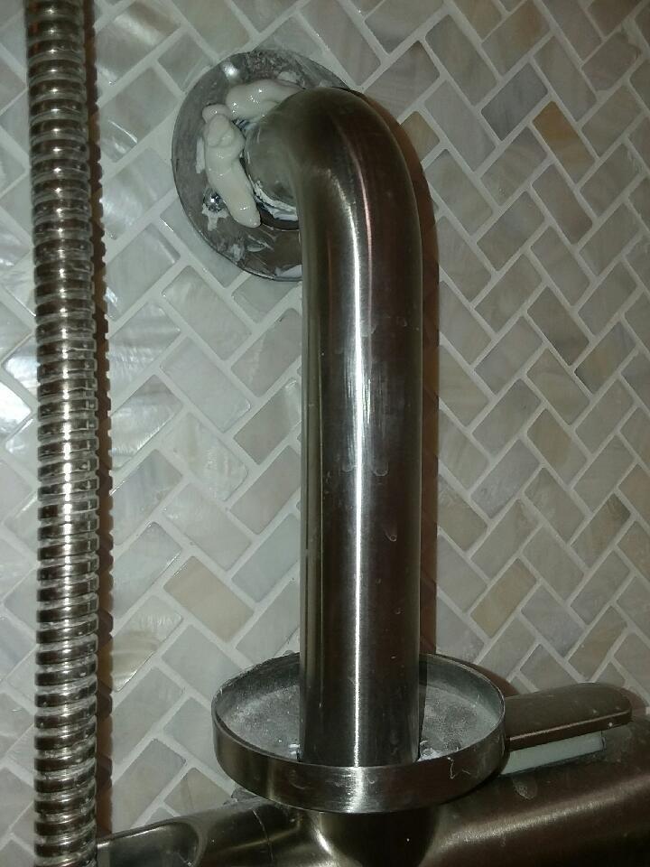 BRIGHT SHOWERS Slide Bar Shower Set with Handheld Shower Head, ADA-Compliant Stainless Steel Grab Bar, Adjustable Height and 69-Inch Hose, Brushed Nickel customer photo 1