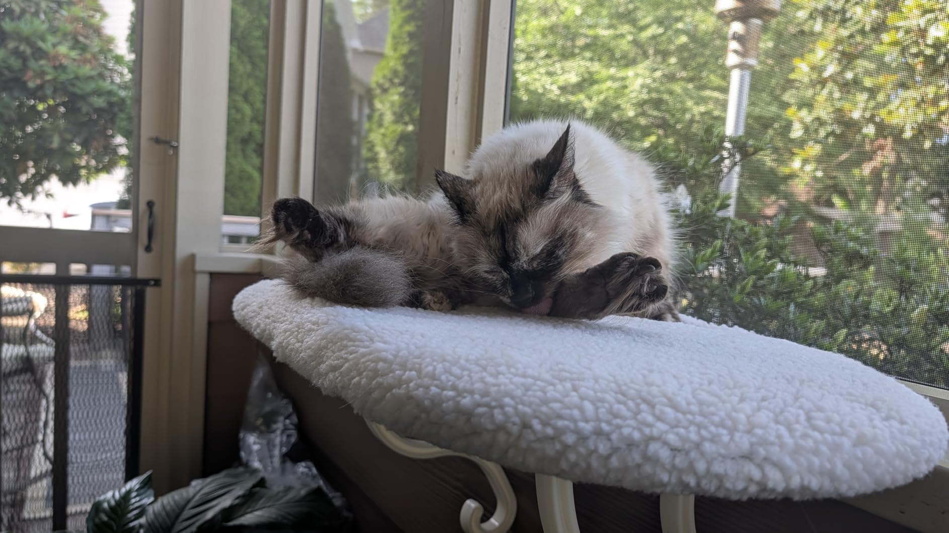 K&H Cat Window Perch, Unheated Kitty Sill, 24x14in, Fleece | Orthopedic Cat Window Hammock Bed Holds 40LBS, Washable Cover, Kitty Windowsill Bed Seat for Indoors, Cream Fleece customer photo 1