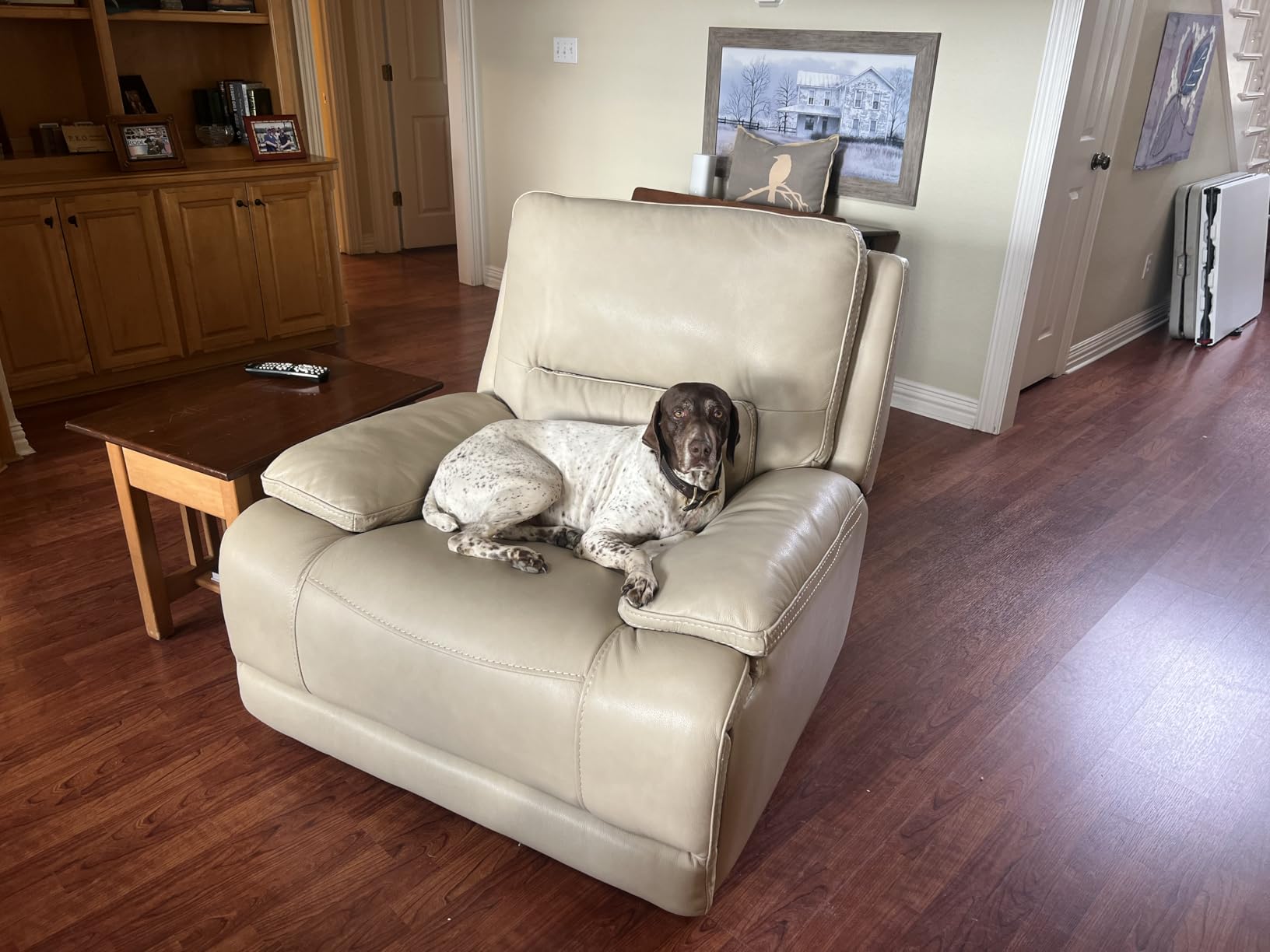 Ameritex Waterproof Nonslip Recliner Cover Stay in Place, Dog Chair Cover Furniture Protector, Ideal Recliner Slipcovers for Pets and Kids (Beige, 23