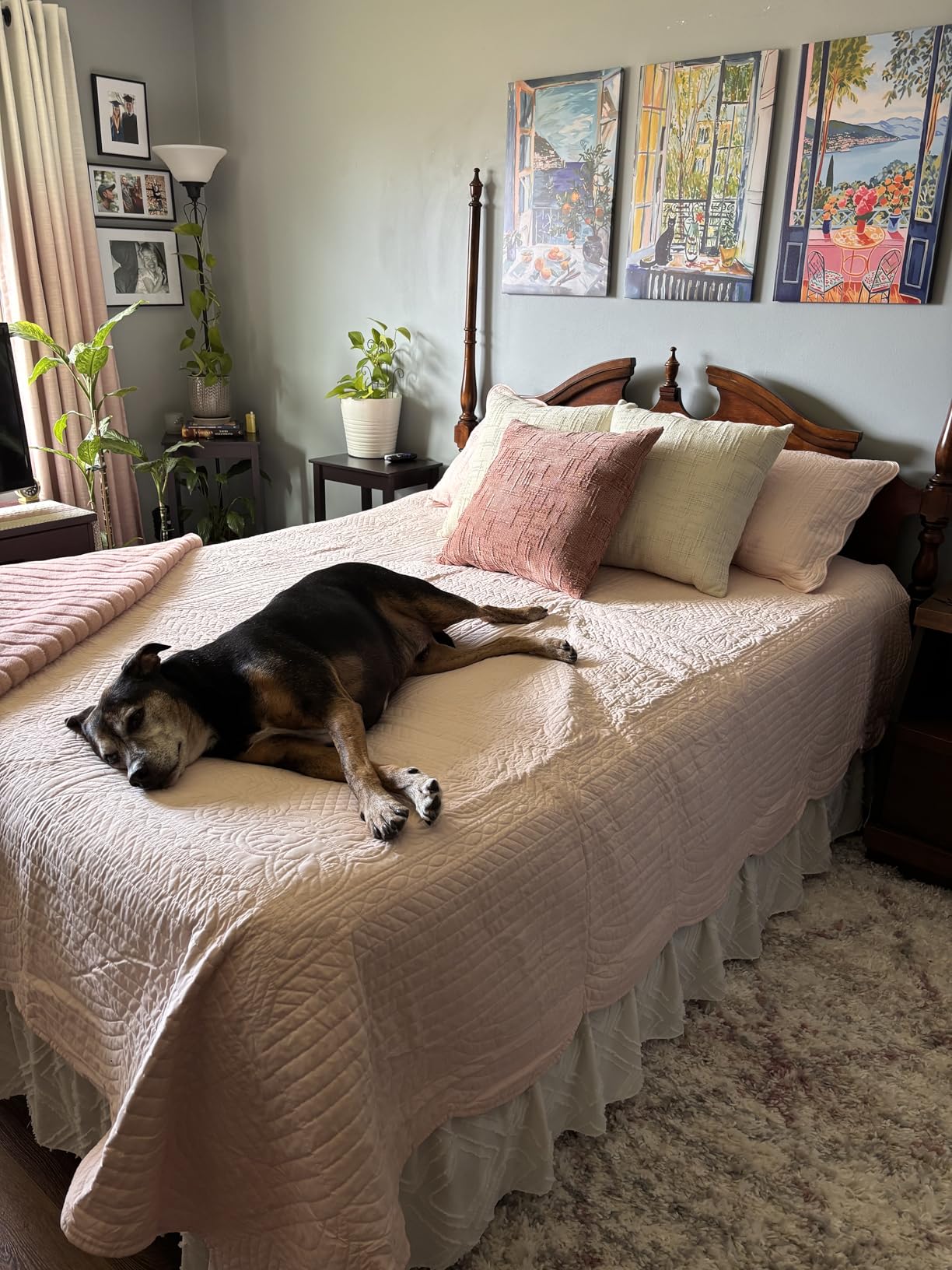 Madison Park Cottage Damask Coverlet Set, 3 PC Full/Queen Quilt Set | Scallop Edge, All Season Oversized Bedding with Pre-washed Cotton-Filled Quilt, Shams, Blush customer photo 1
