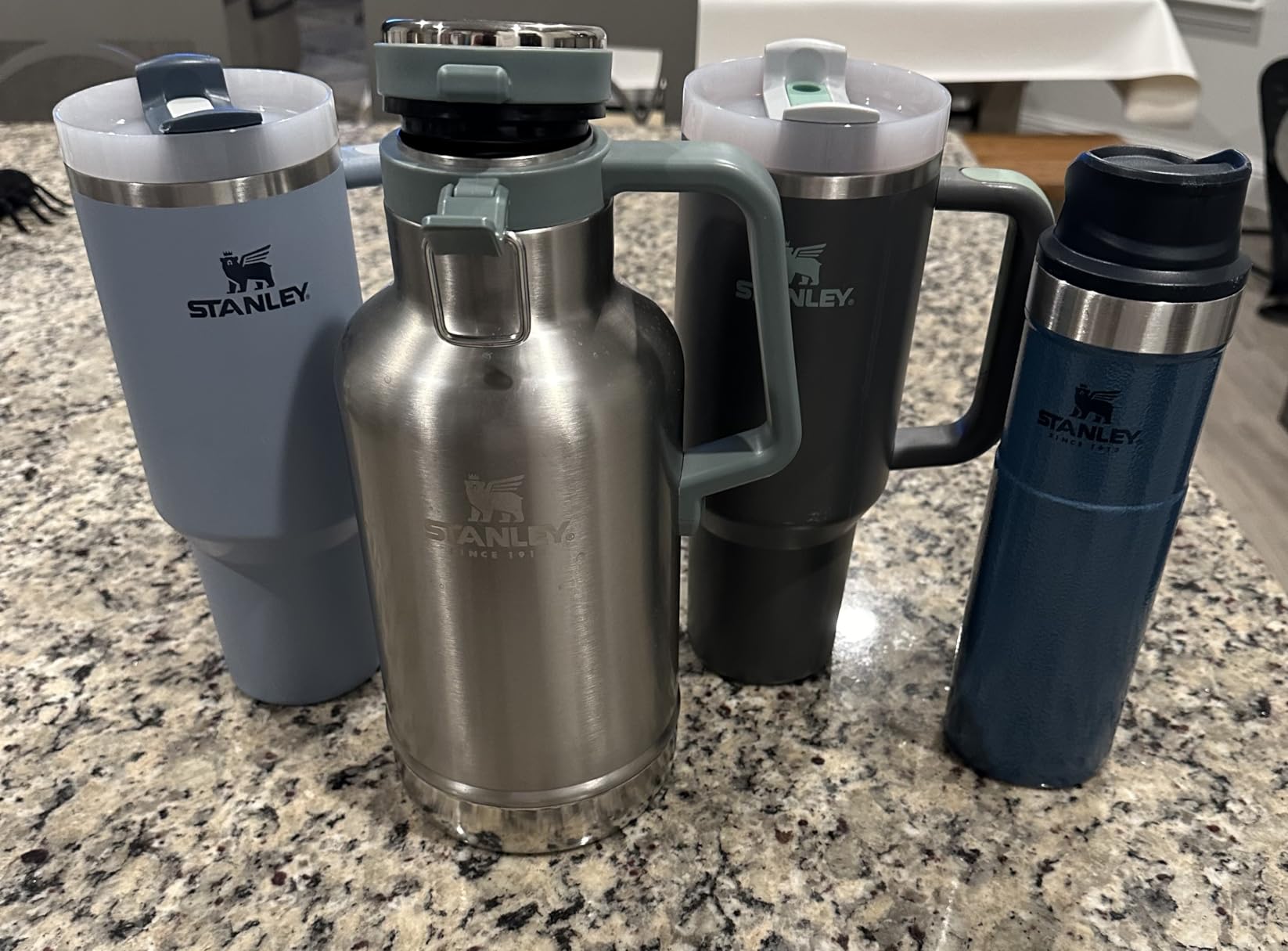 Stanley Classic Easy-Pour Growler 64 oz | Keeps Beer Cold or Coffee Hot | Leakproof Steel Lined Lid and Easy to Carry Handle | Insulated Stainless Steel | BPA-Free | Green customer photo 1