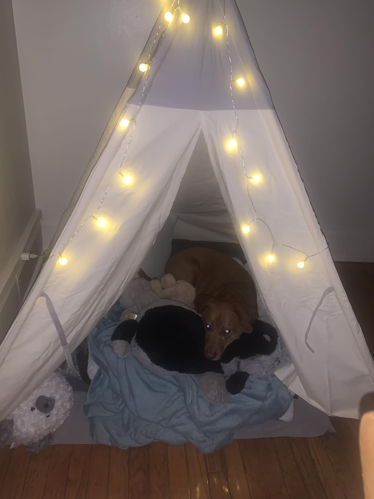 besrey Teepee Tent for Kids, Cotton Canvas Play Tent with Lights & Mat, Sturdy Toddler Tipi Tent Playhouse for Boys Girls, Foldable Indoor Outdoor Camping Reading Hideaway customer photo 2