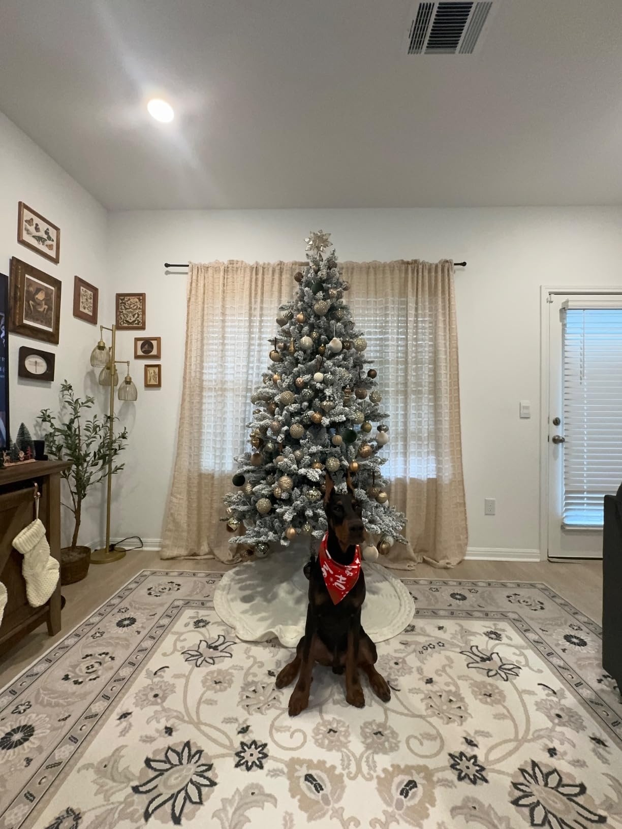 48 Inch Christmas Tree Skirt: Braided Cable Knit Tree Skirt for 7.5FT Tree, Cream White Tree Skirt, Vintage Tree Skirts, Rustic Farmhouse Christmas Decorations customer photo 1