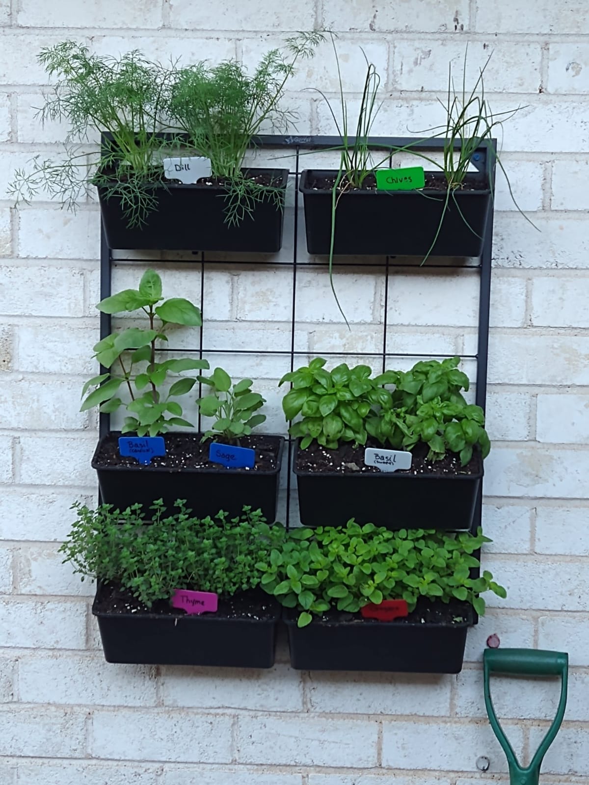Vertical Wall Planter with 6 Removable Pots for Indoor or Outdoor customer photo 1