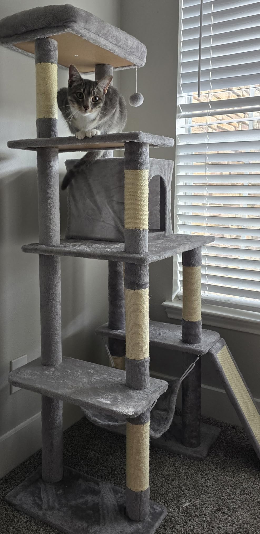 Yaheetech 63in Sturdy Large Cat Tree for Indoor Heavy Cats, Tall Tower with Plush Condo, Hammock, Sisal Scratching Posts, Stable Wide Base customer photo 1