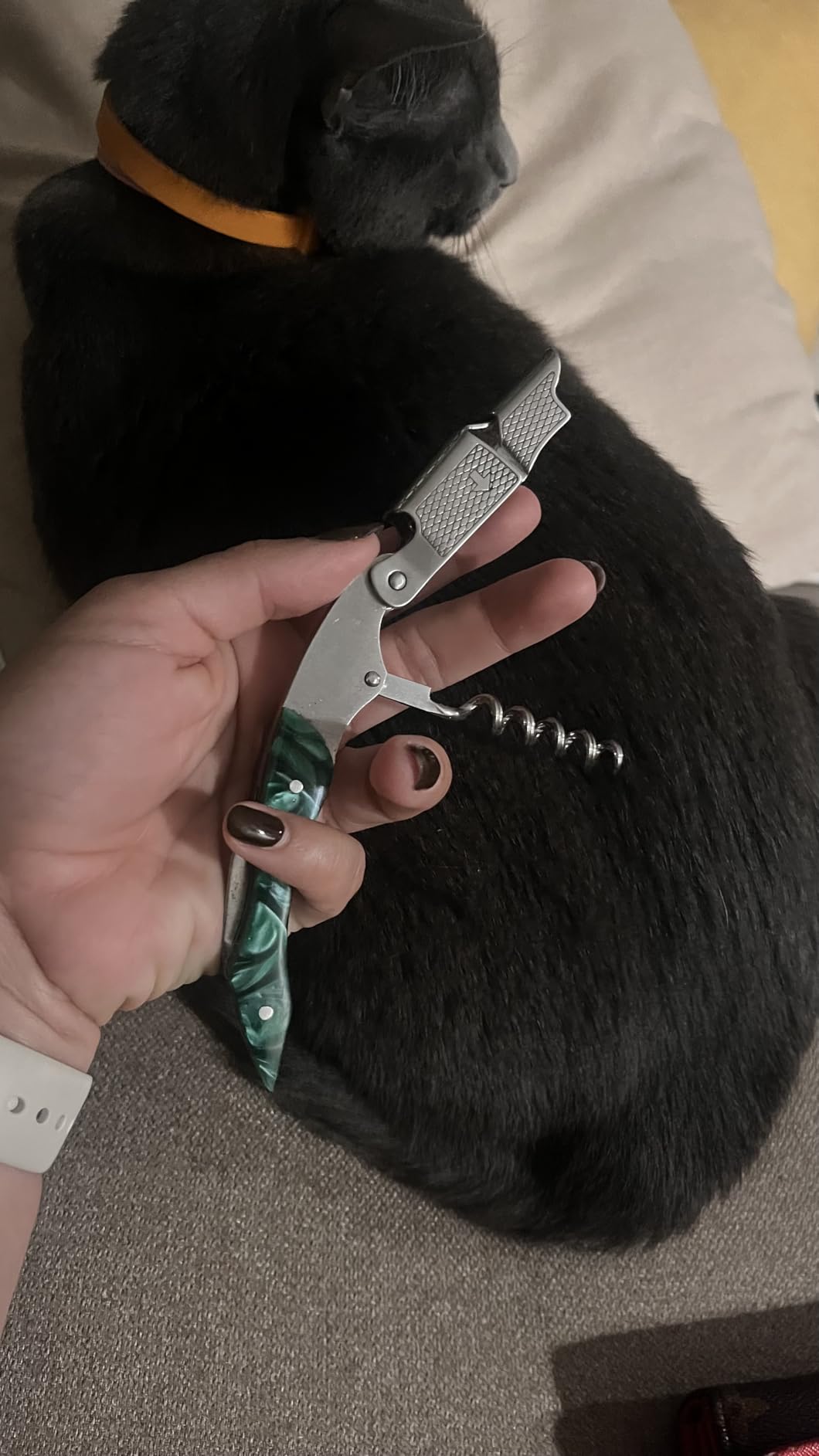 Wino Wine Key! - Professional Sommelier's Corkscrew Wine Opener customer photo 1
