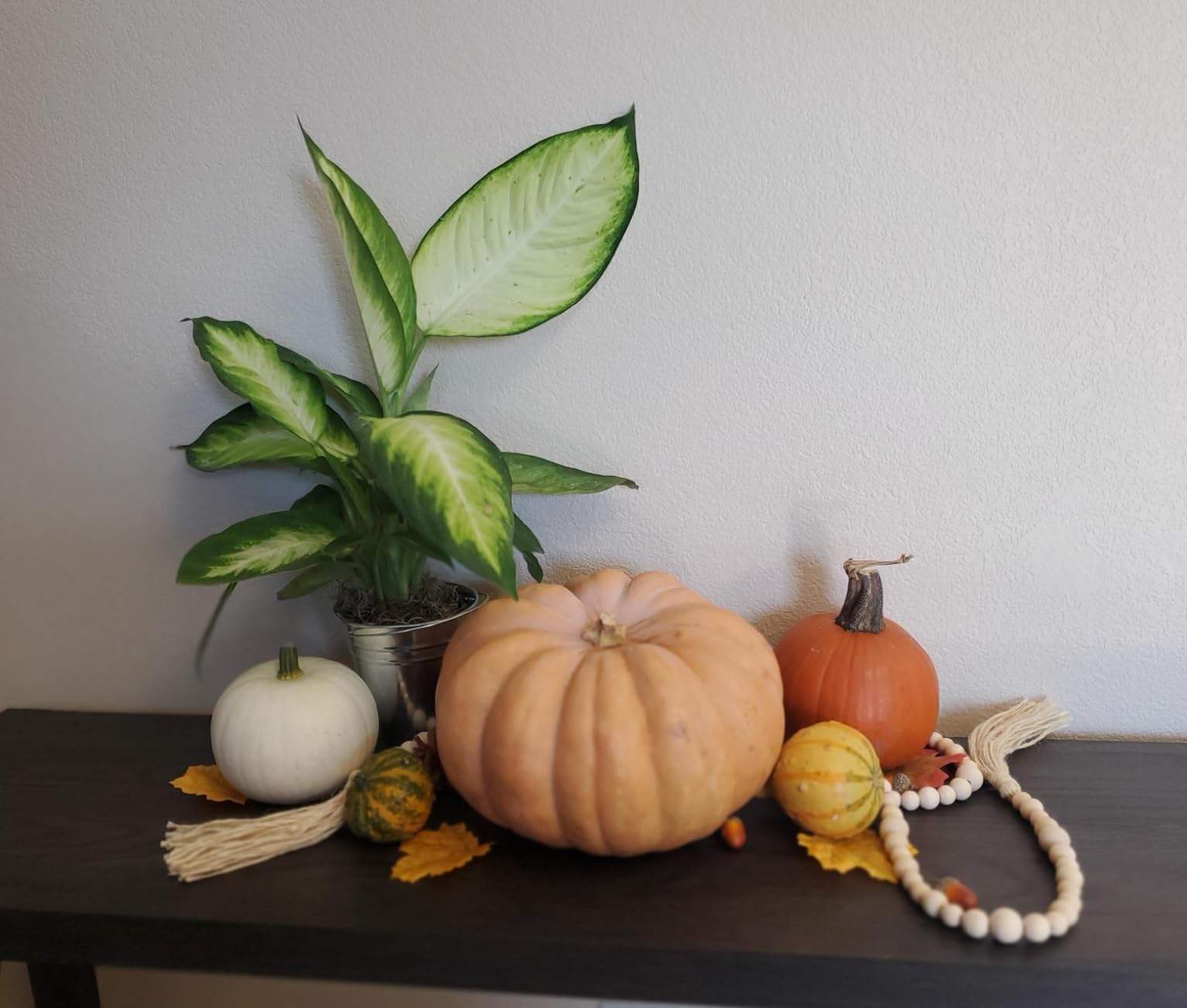 winemana Fall Decorations for Home Mini Pumpkins Gourds & Leaves Set | Thanksgiving Autumn Harvest Table Centerpieces, Cornucopia Basket Bowl Filler, Largest Pumpkin: 4.5