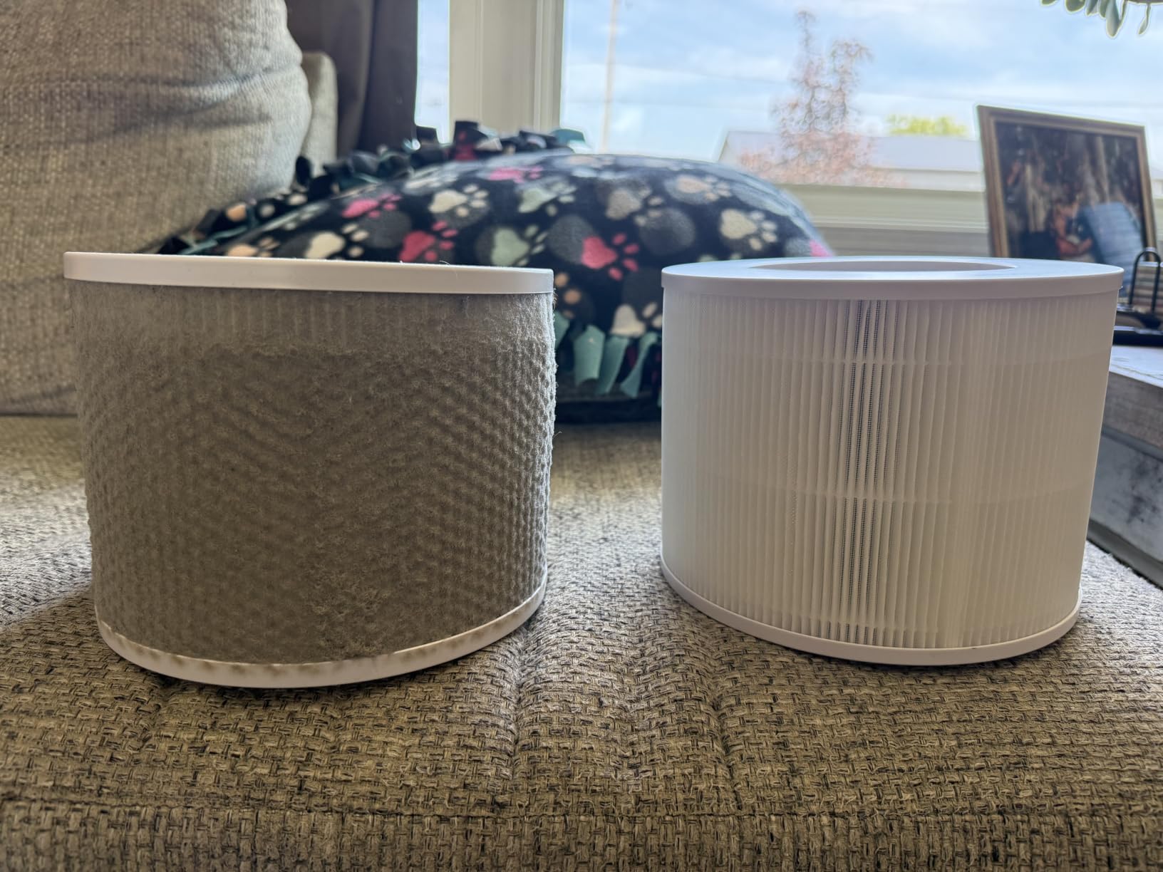 LEVOIT Air Purifier for Home Allergies and Pets, H13 True HEPA Filter, 24db Filtration System, Core 300, White customer photo 2