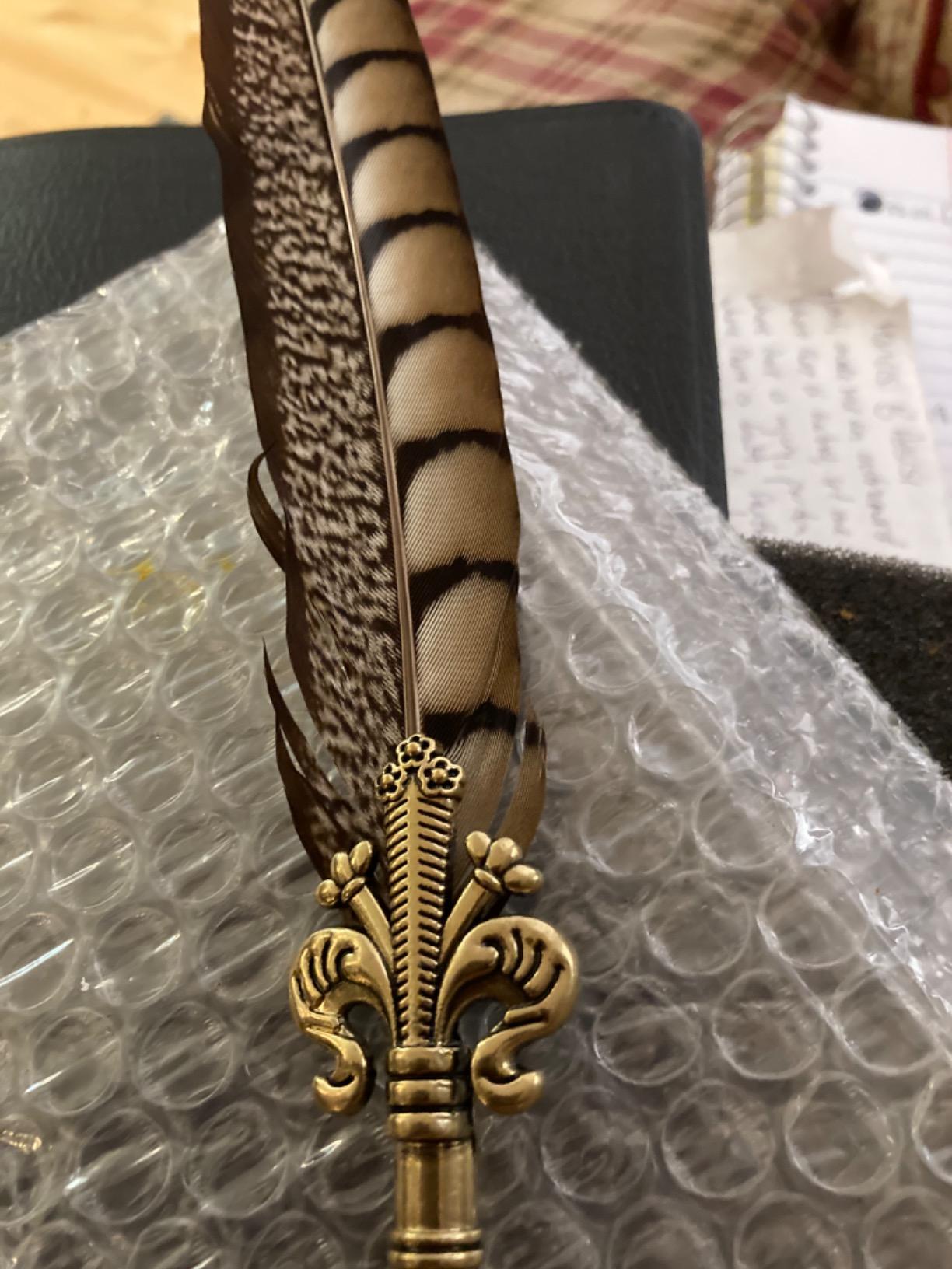 Antique Quill Pen Unique Half-Patterned Feather Pen Set with 6 Nibs, 1 Bottle of Ink, 1 Seal Stamp, 1 Pen Holder, 1 Sealing Wax LL-149 customer photo 1