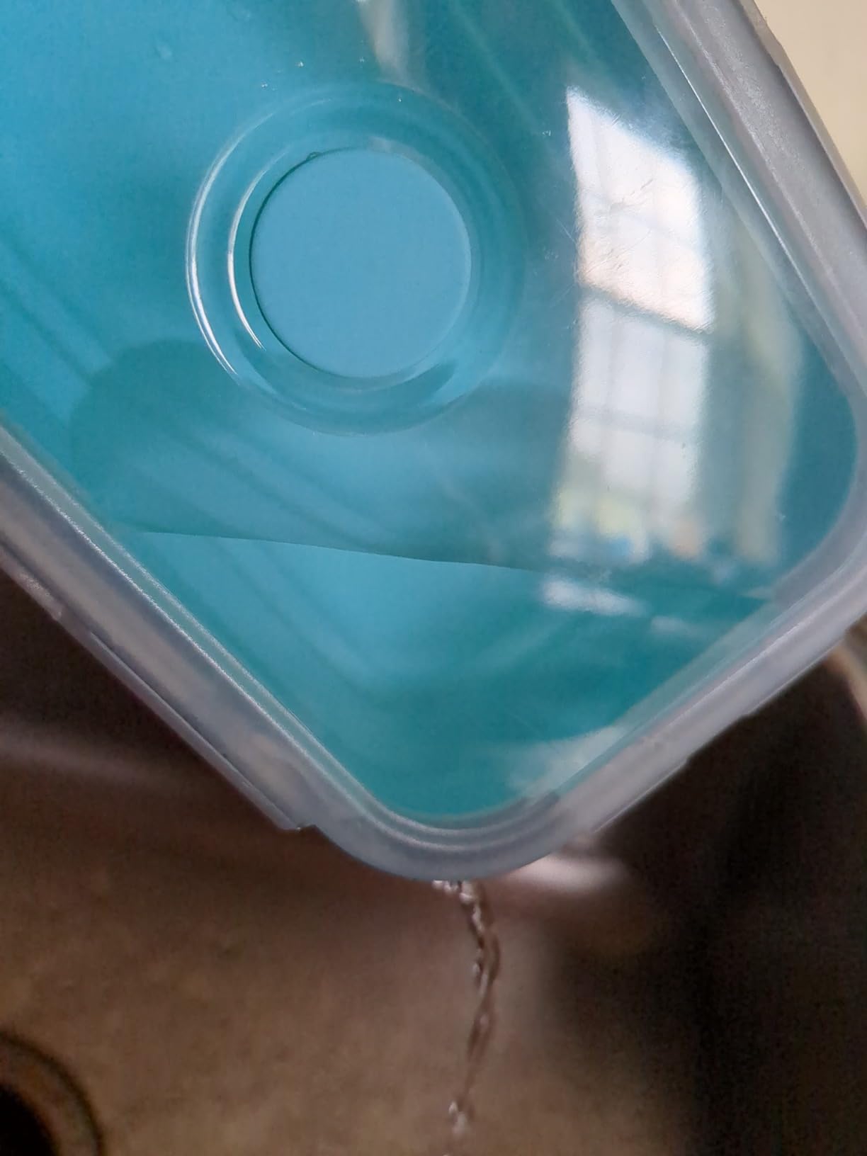 Guyuyii 4 Pack Space-Saving Collapsible Food Storage Containers with Lids | 12/17/27/40 oz Food-Grade Silicone Set for RV, Camping, Meal Prep, Small Kitchens - Microwave/Freezer/Dishwasher Safe customer photo 1