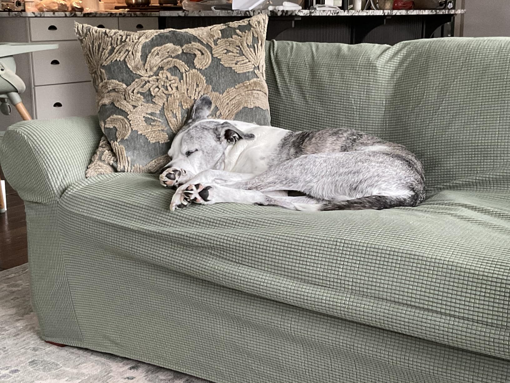 Easy-Going 100% Waterproof Couch Cover, 3 Cushion Couch Slipcover for Sofa | Leakproof Sofa Cover, Stretch Jacquard Furniture Protector Against Stain Spill from Kids, Pets, Dog (Sofa, Dark Gray) customer photo 1
