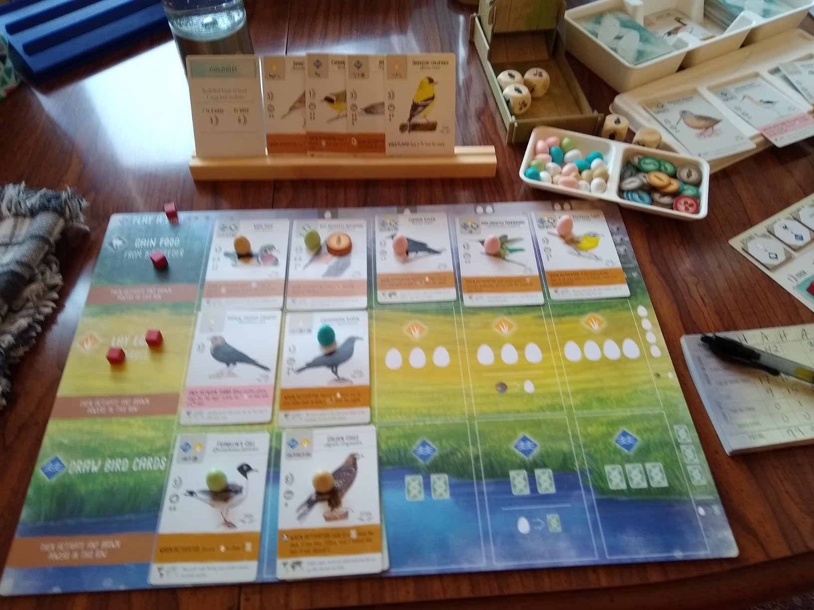 Stonemaier Games: Wingspan by Elizabeth Hargrave | A Relaxing, Award-Winning Strategy Board Game About Collecting Birds for Adults and Family | 1-5 Players, 70 Mins customer photo 1