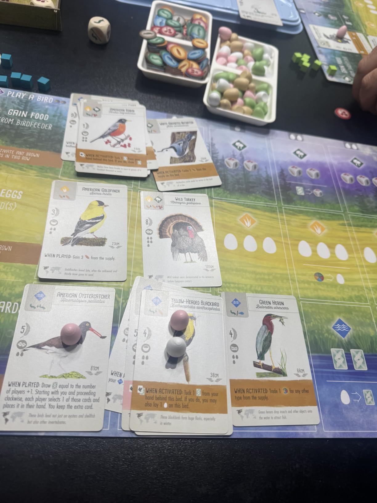 Stonemaier Games: Wingspan by Elizabeth Hargrave | A Relaxing, Award-Winning Strategy Board Game About Collecting Birds for Adults and Family | 1-5 Players, 70 Mins customer photo 2