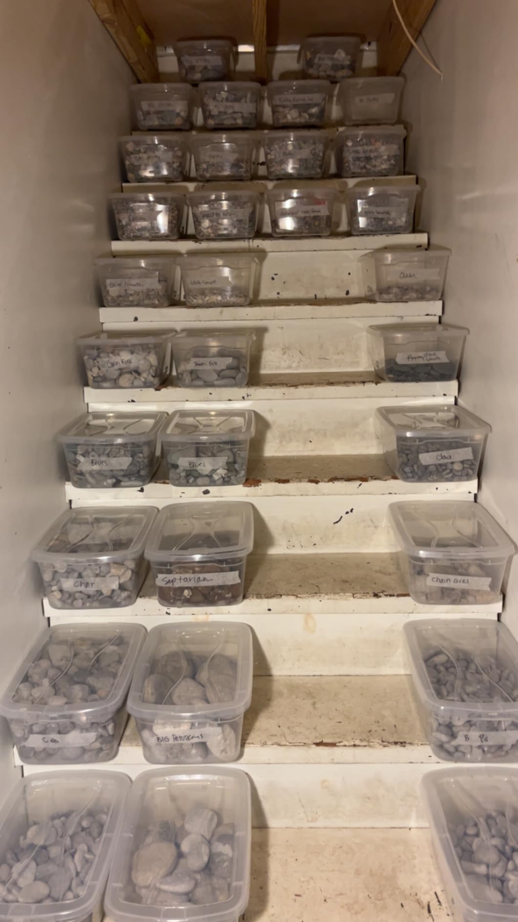 Rubbermaid Cleverstore 17 Quart Clear Latching Waterproof Stackable Airtight Storage Containers with Durable Latching Lids (6 Pack) customer photo 2