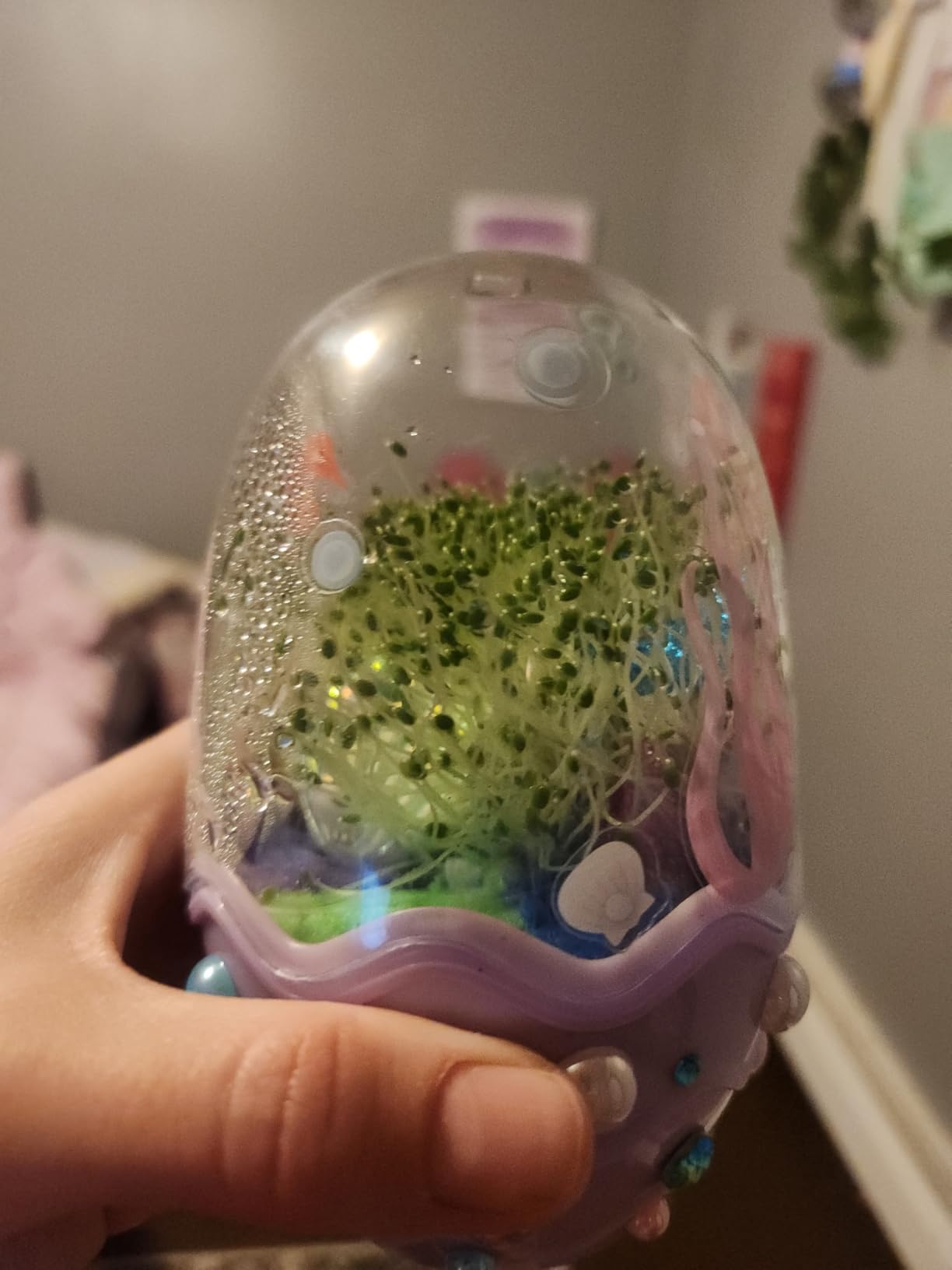 Creativity for Kids Mini Garden: Mermaid Terrarium Kit - Mermaid Gifts for Girls, Crafts and Toys, Stocking Stuffers for Kids (Ages 6+) customer photo 1
