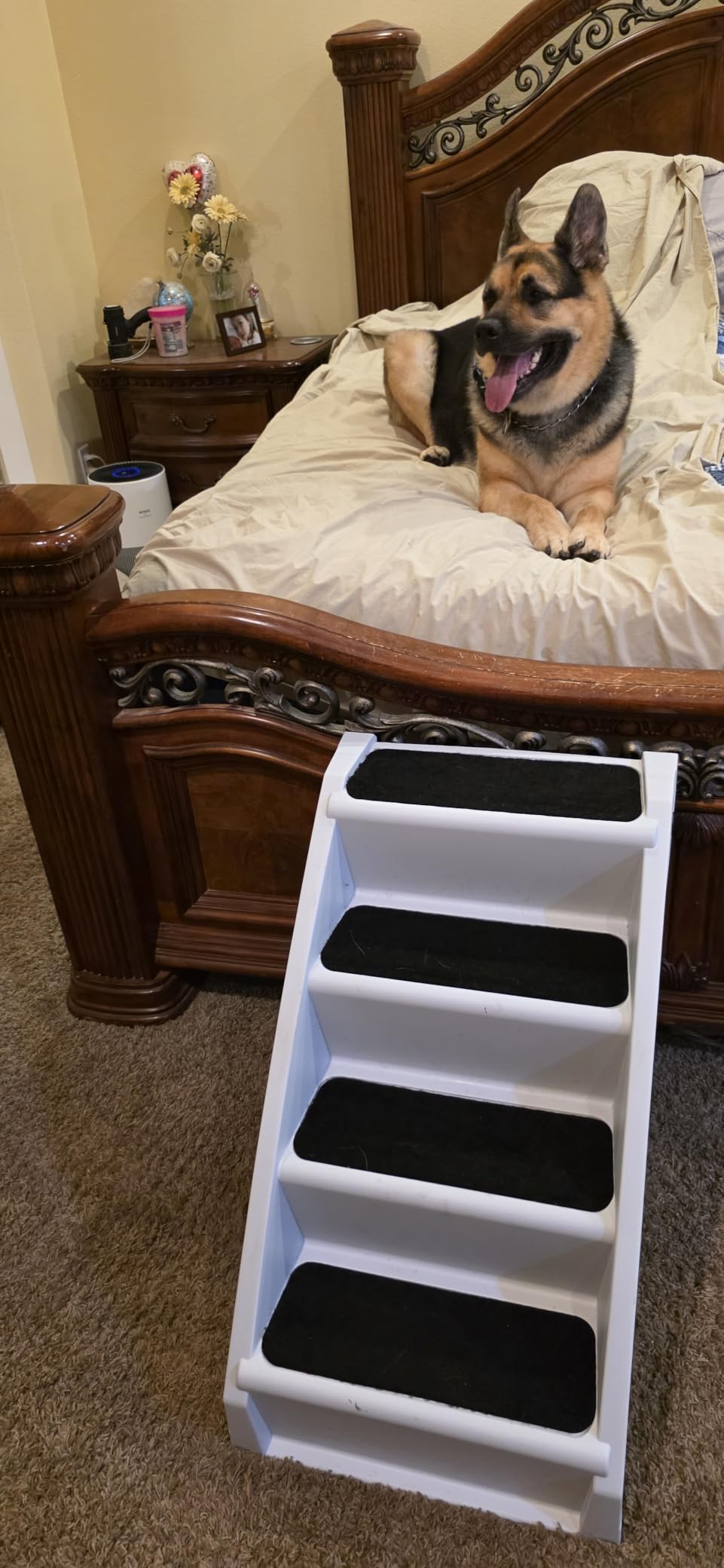 PetSafe CozyUp Folding Dog Stairs, Portable Indoor/Outdoor Pet Steps for Bed, Couch & Car, Grey, 25 Inch | Portable & Foldable 4-Step Stairs, Non-Skid Feet, Side Rails, Dog Steps for Bed, for Dogs up to 200 Lb customer photo 1